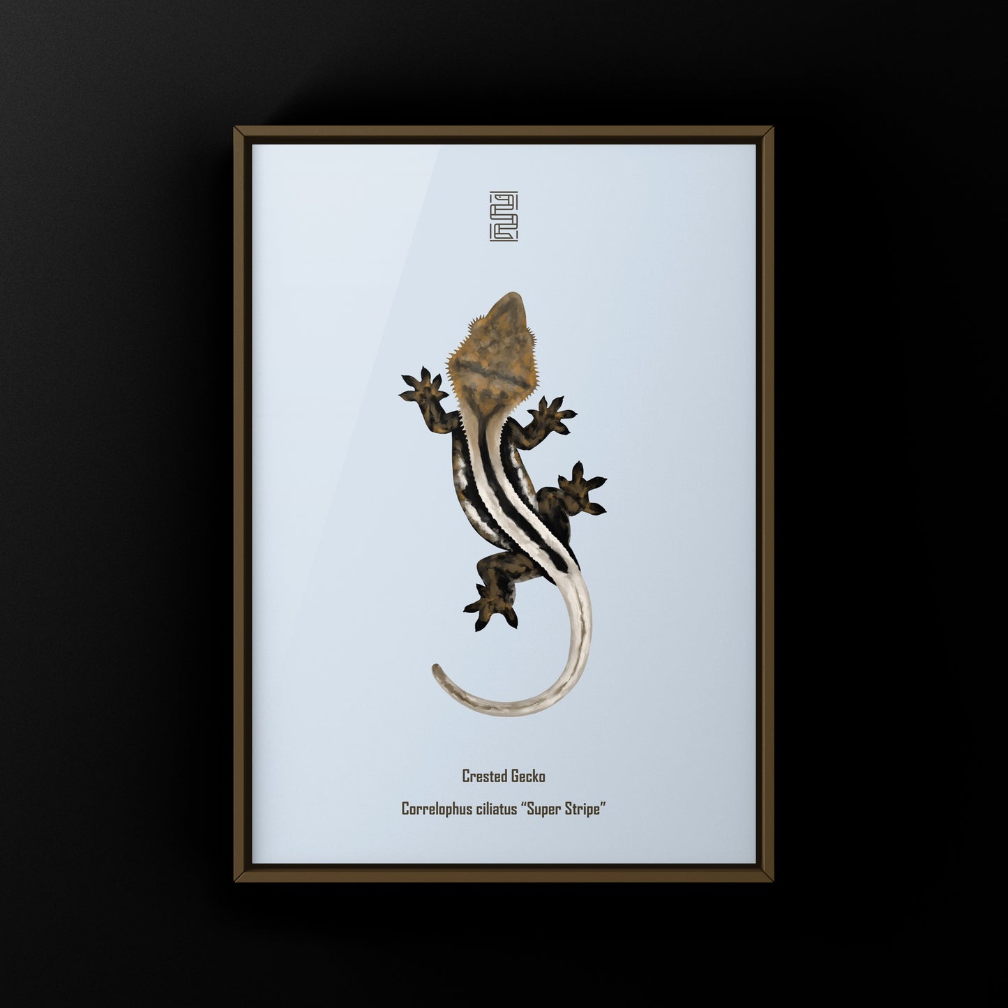 Super Stripe Crested Gecko Photographic Art Print from The Silk Ranch