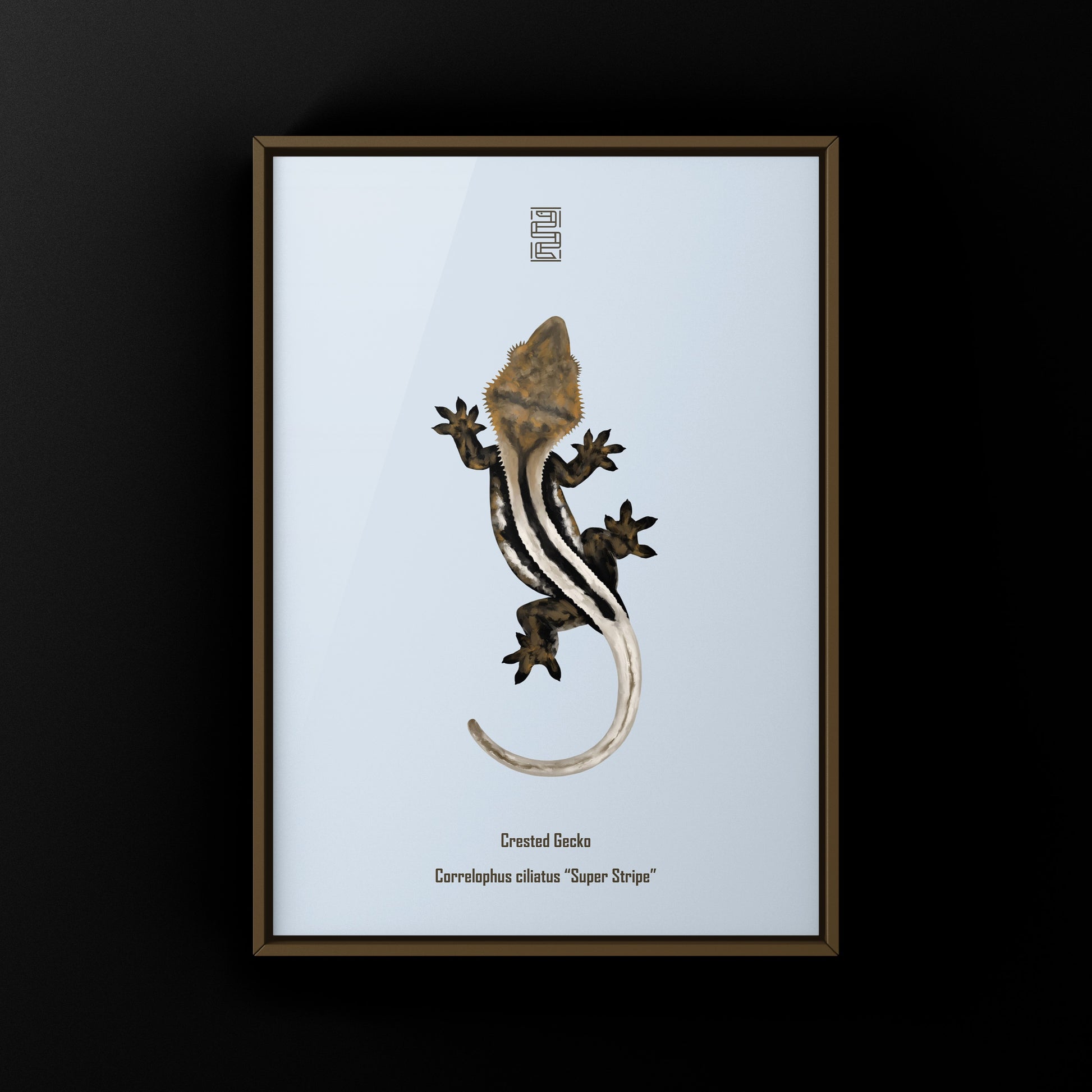 Super Stripe Crested Gecko Photographic Art Print from The Silk Ranch