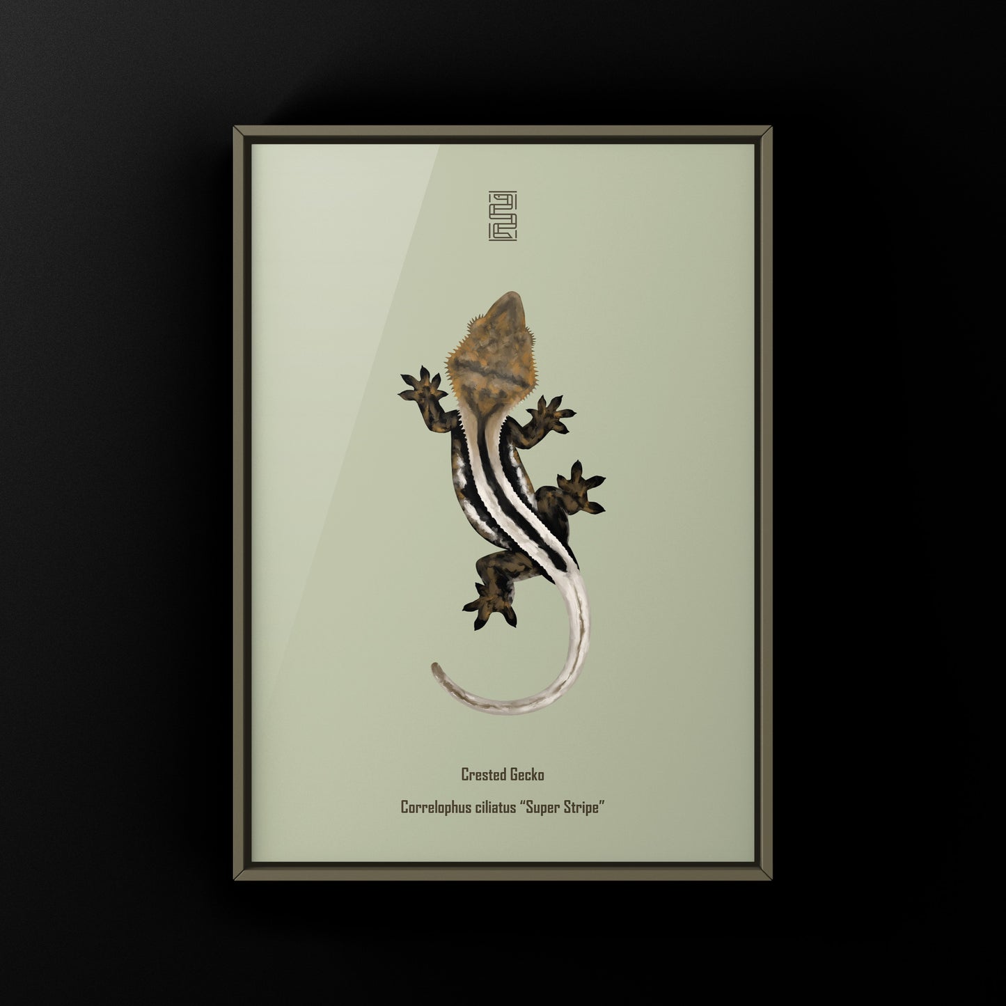 Super Stripe Crested Gecko Photographic Art Print from The Silk Ranch