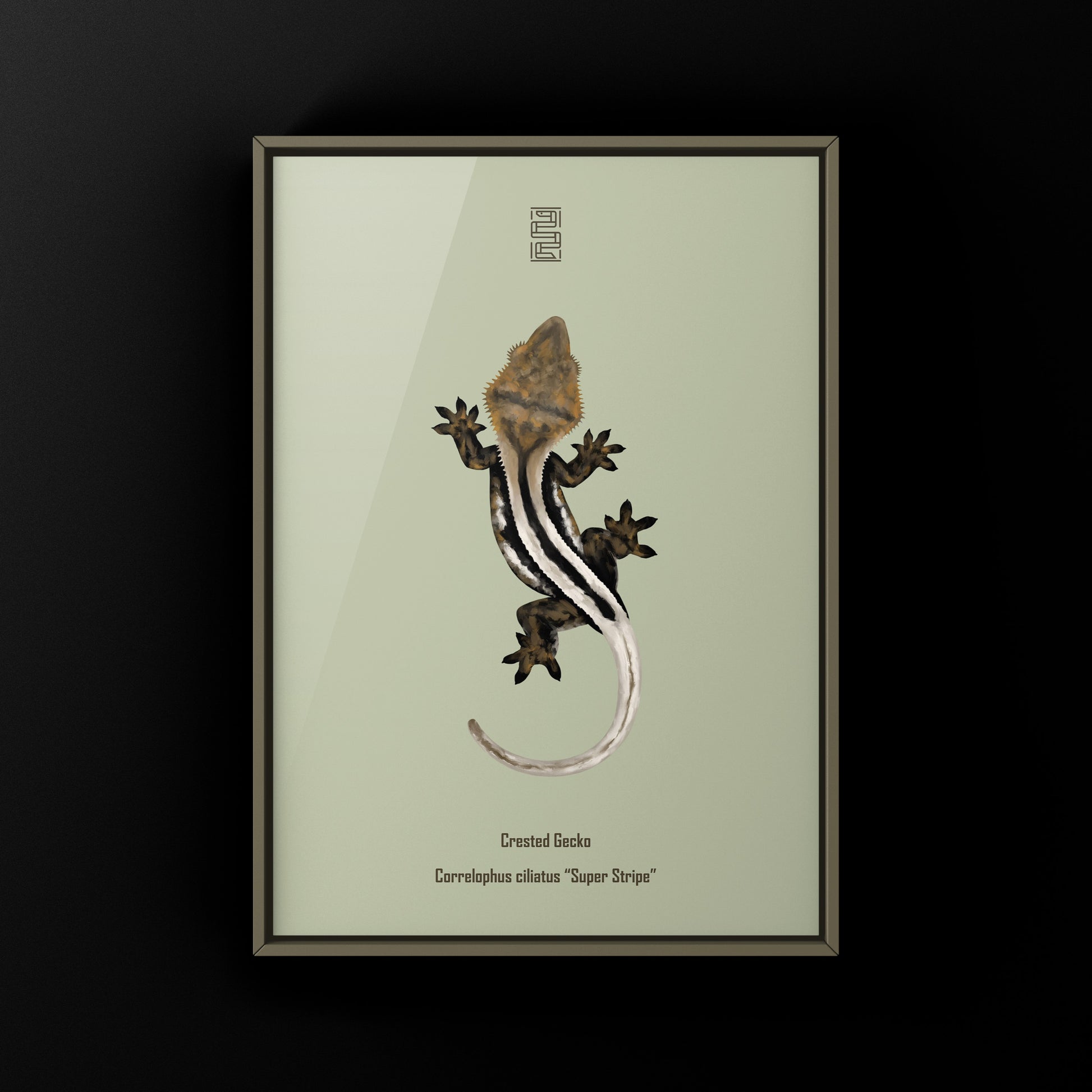 Super Stripe Crested Gecko Photographic Art Print from The Silk Ranch