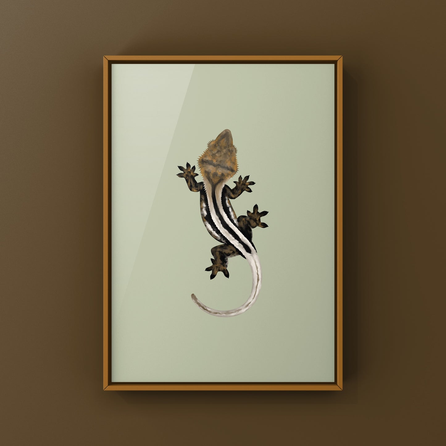 Super Stripe Crested Gecko Photographic Art Print from The Silk Ranch