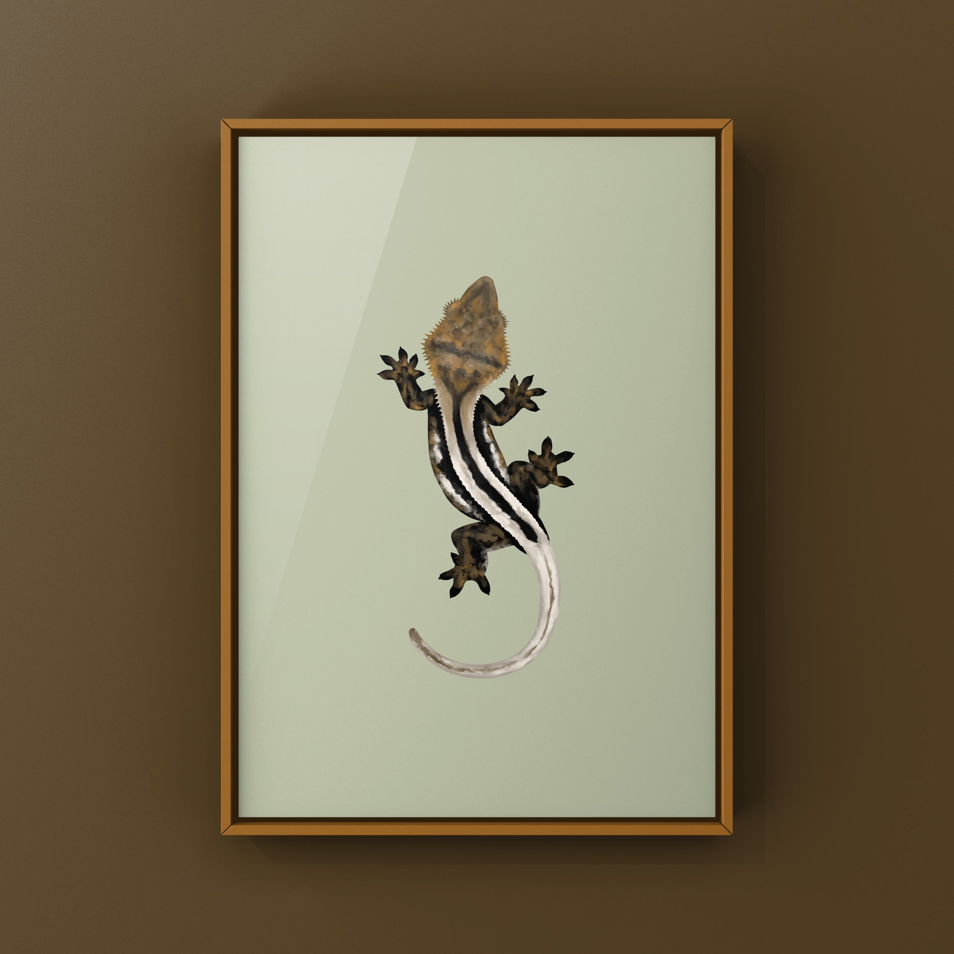 Super Stripe Crested Gecko Photographic Art Print from The Silk Ranch