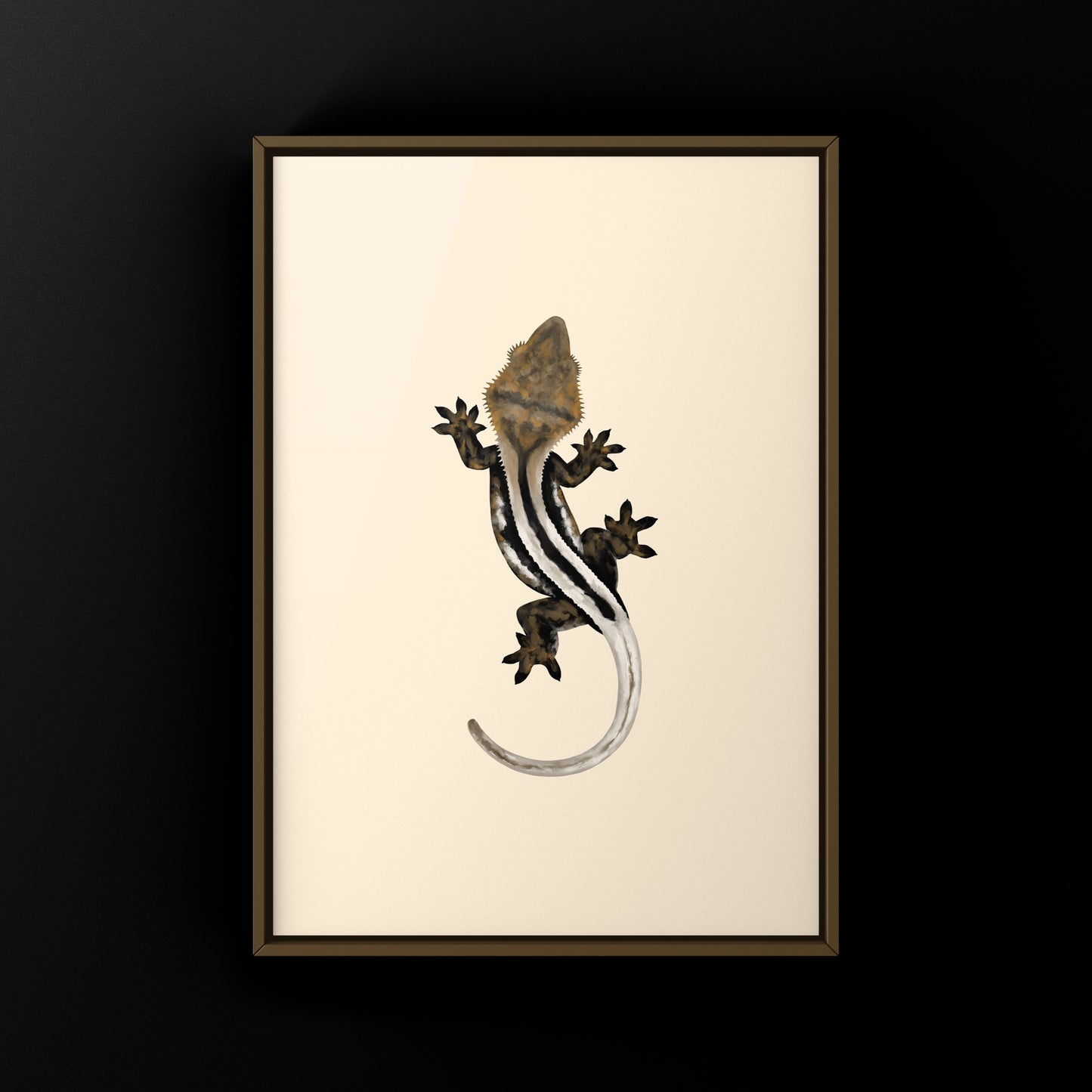 Super Stripe Crested Gecko Photographic Art Print from The Silk Ranch