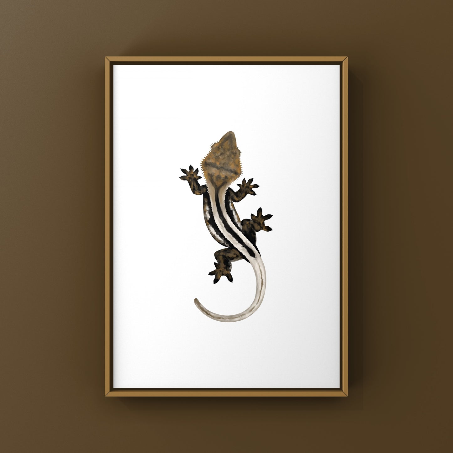 Super Stripe Crested Gecko Photographic Art Print from The Silk Ranch