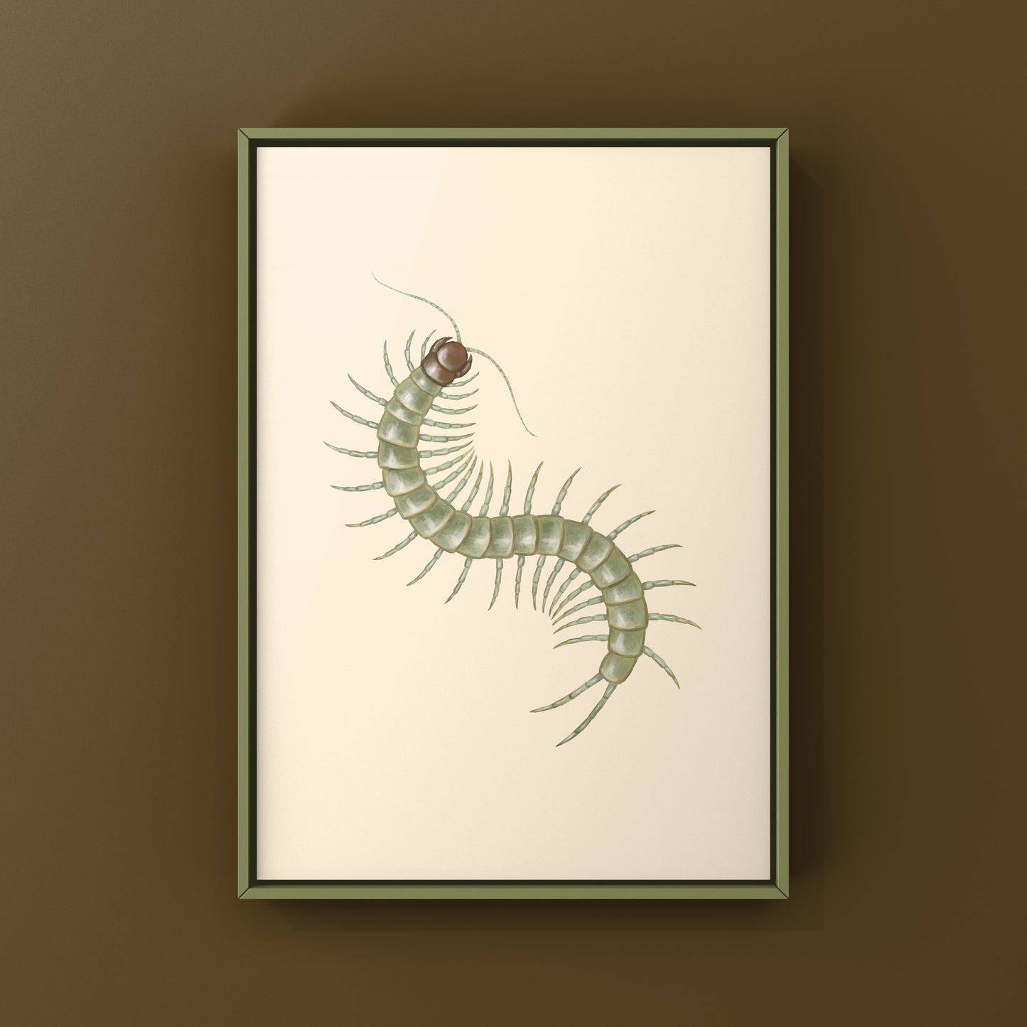 Philippine Green Centipede (Scolopendra subcrustalis) Photographic Art Print from The Silk Ranch
