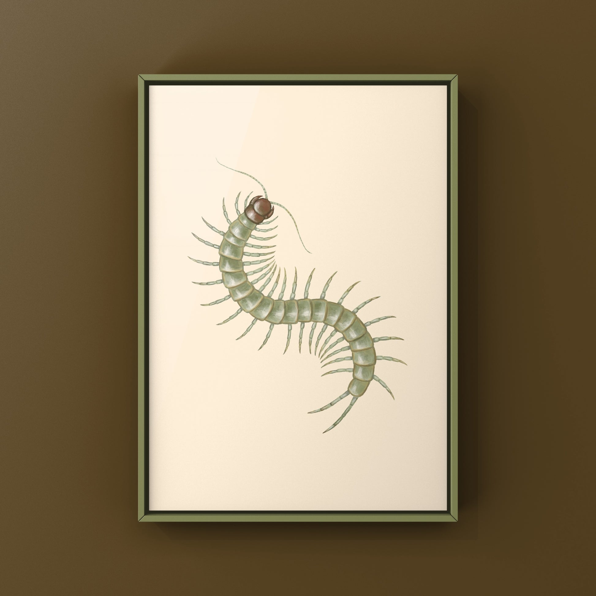 Philippine Green Centipede (Scolopendra subcrustalis) Photographic Art Print from The Silk Ranch