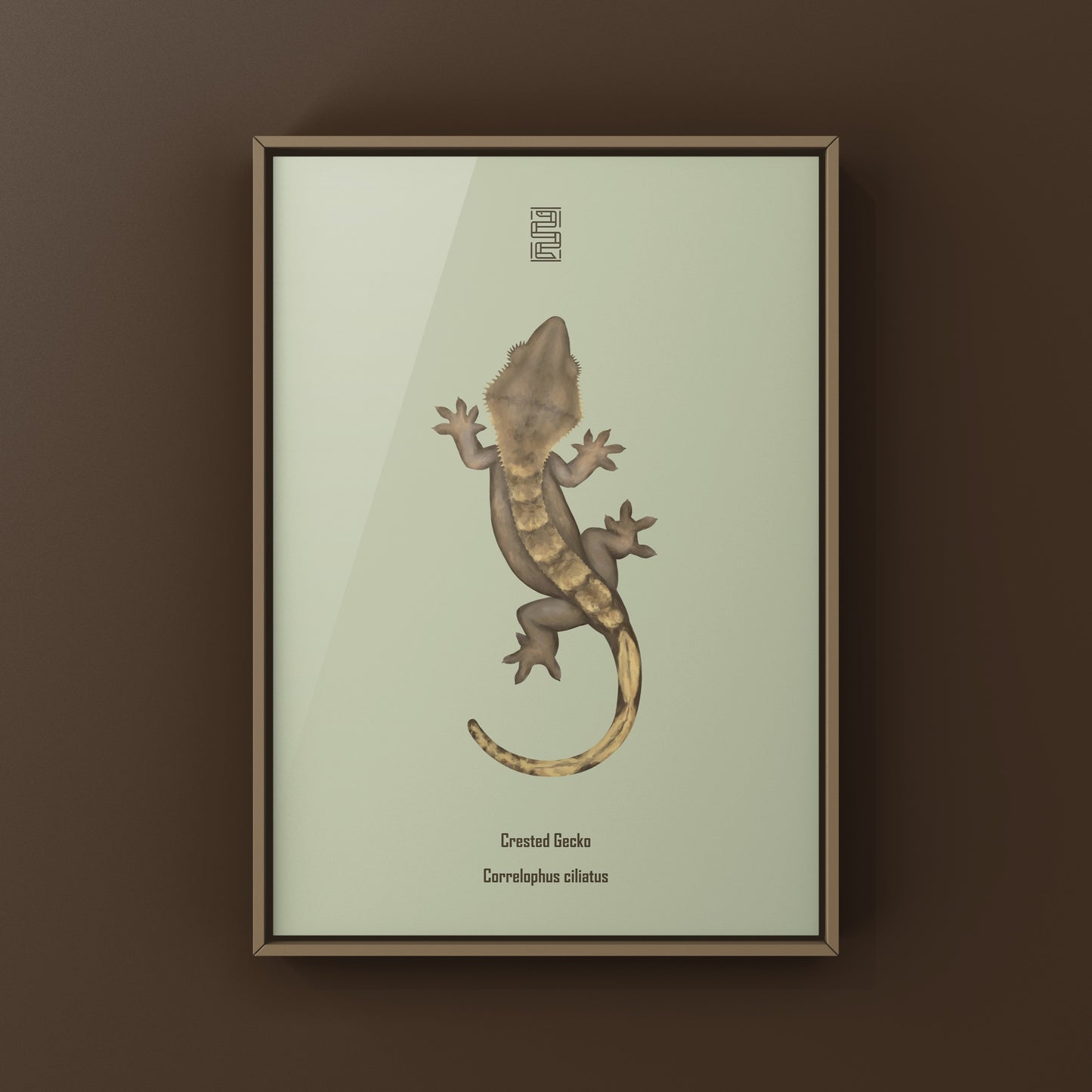 Crested Gecko Photographic Art Print from The Silk Ranch