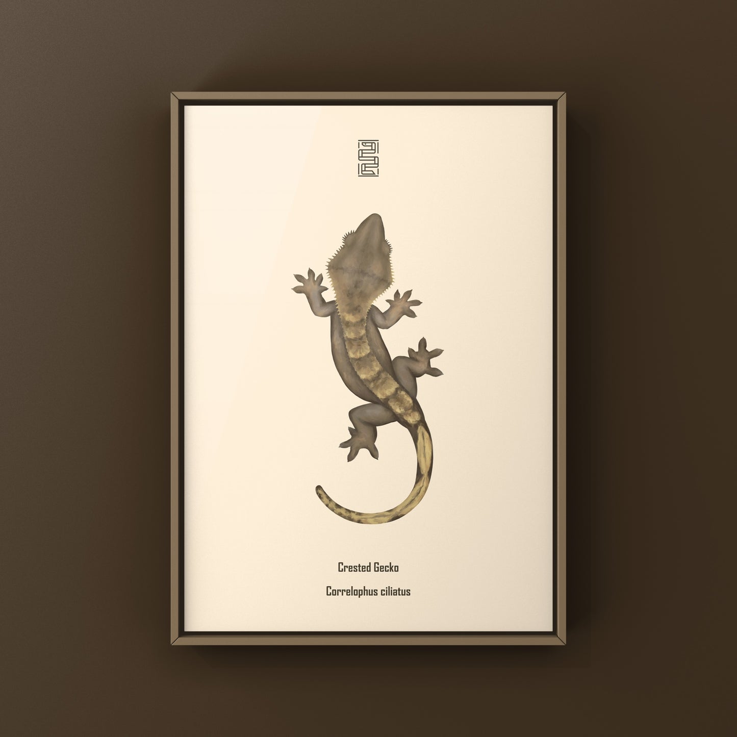 Crested Gecko Photographic Art Print from The Silk Ranch