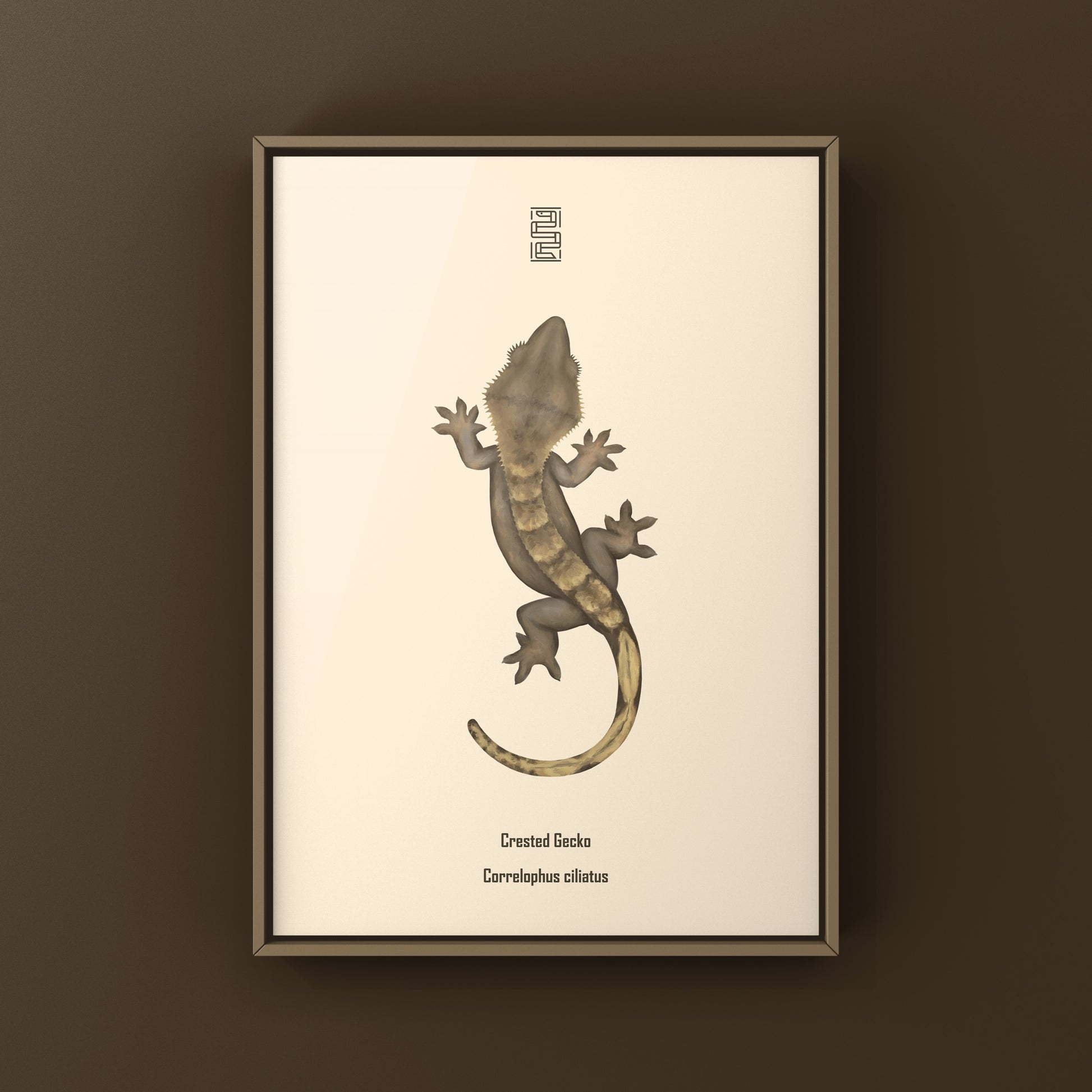 Crested Gecko Photographic Art Print from The Silk Ranch