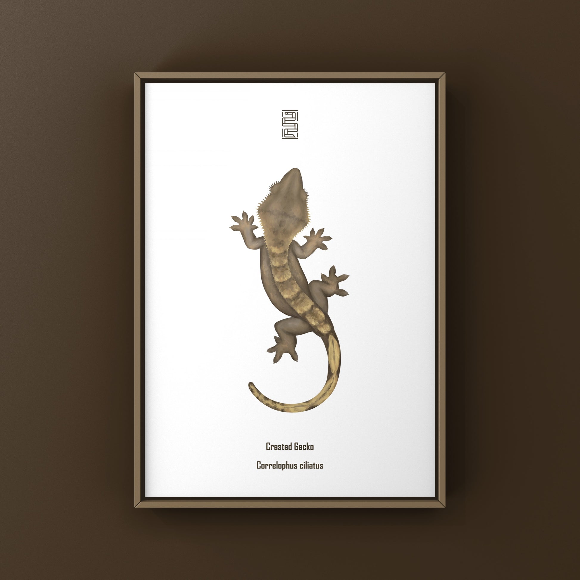 Crested Gecko Photographic Art Print from The Silk Ranch