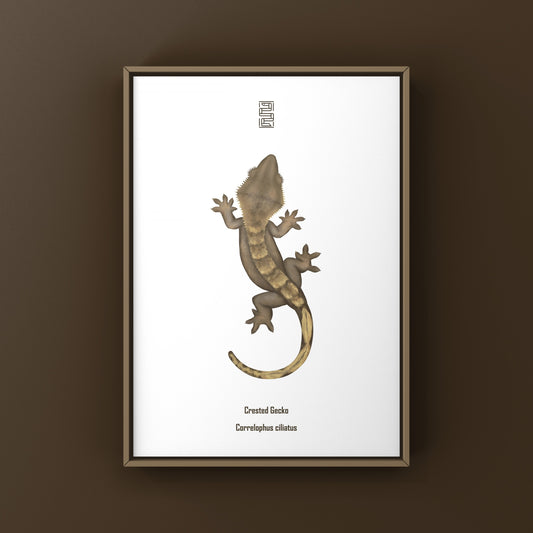 Crested Gecko Photographic Art Print from The Silk Ranch
