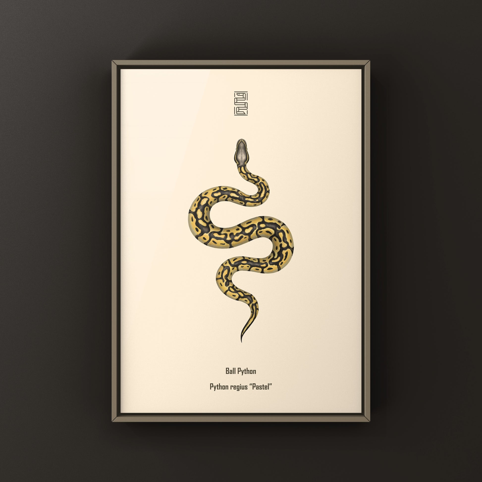 Pastel Ball Python Art Print from The Silk Ranch