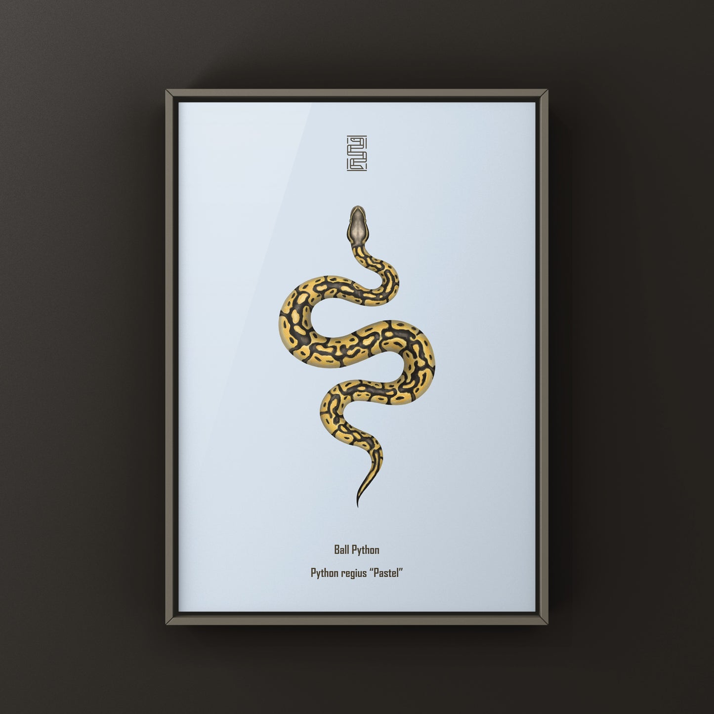 Pastel Ball Python Art Print from The Silk Ranch