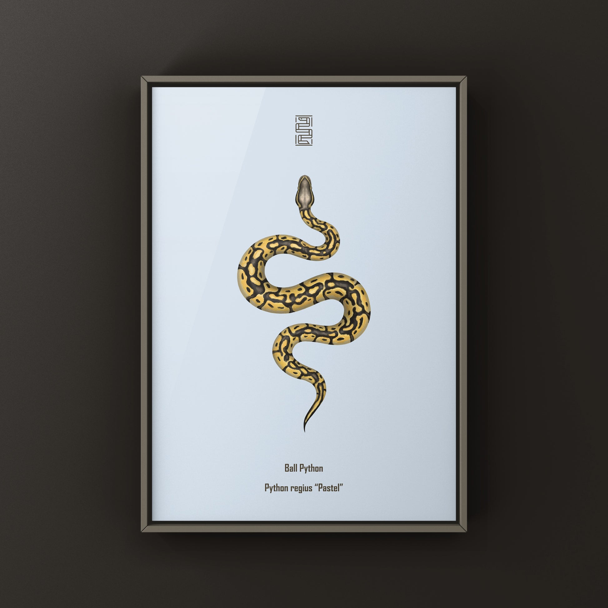 Pastel Ball Python Art Print from The Silk Ranch