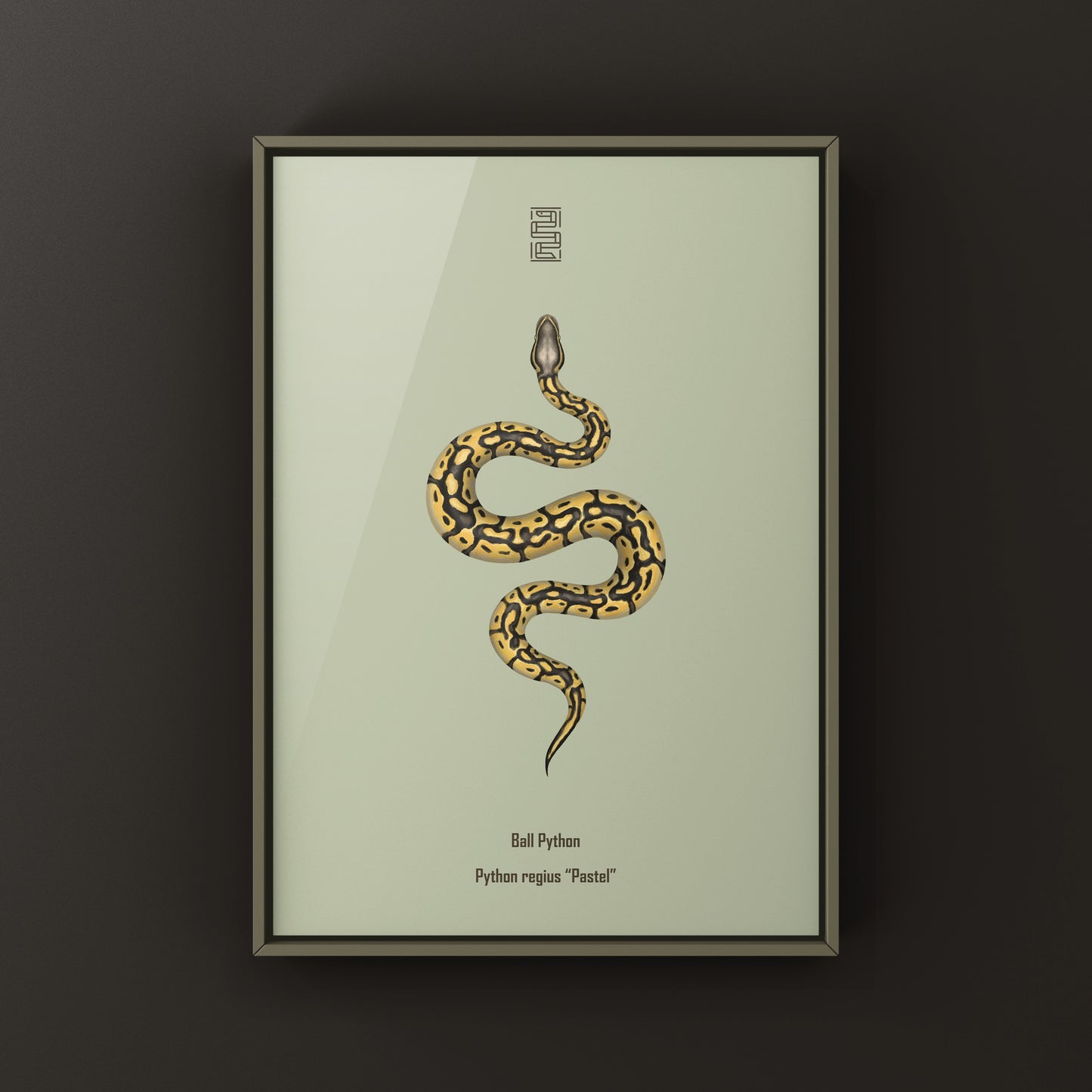 Pastel Ball Python Art Print from The Silk Ranch