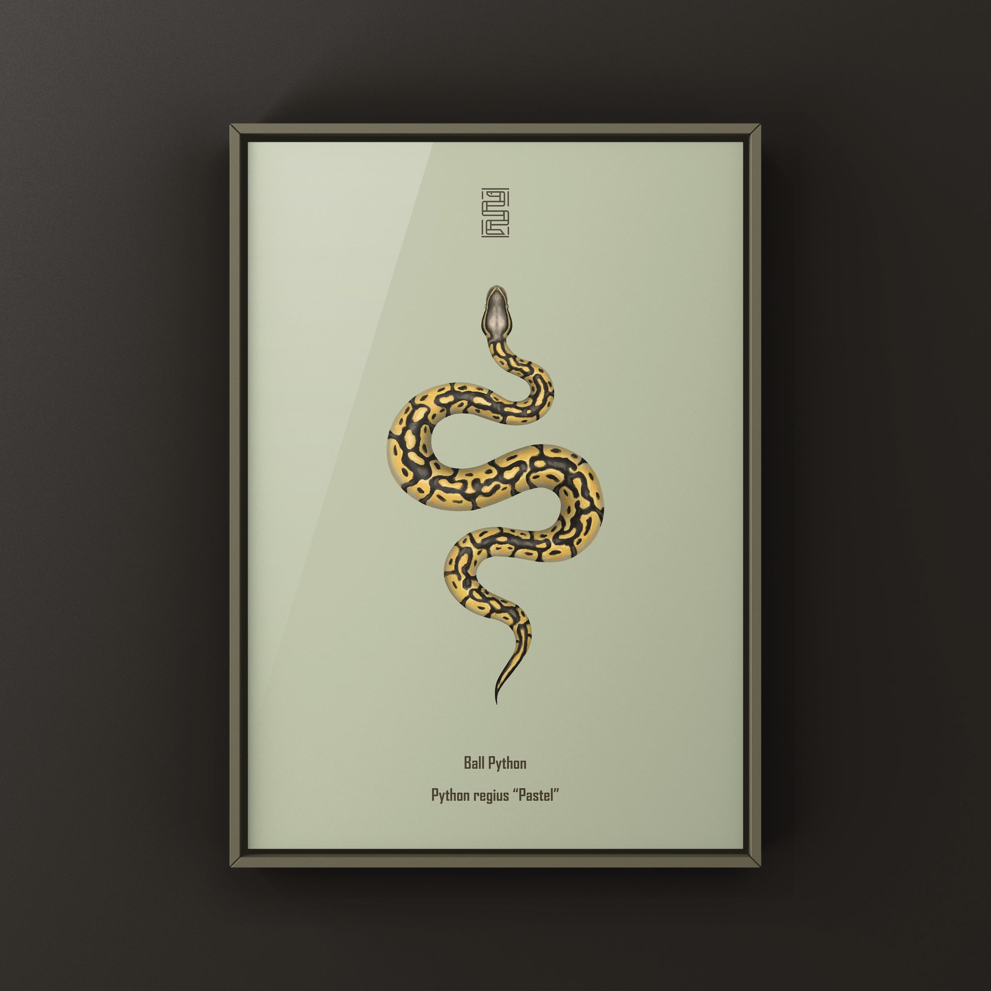 Pastel Ball Python Art Print from The Silk Ranch