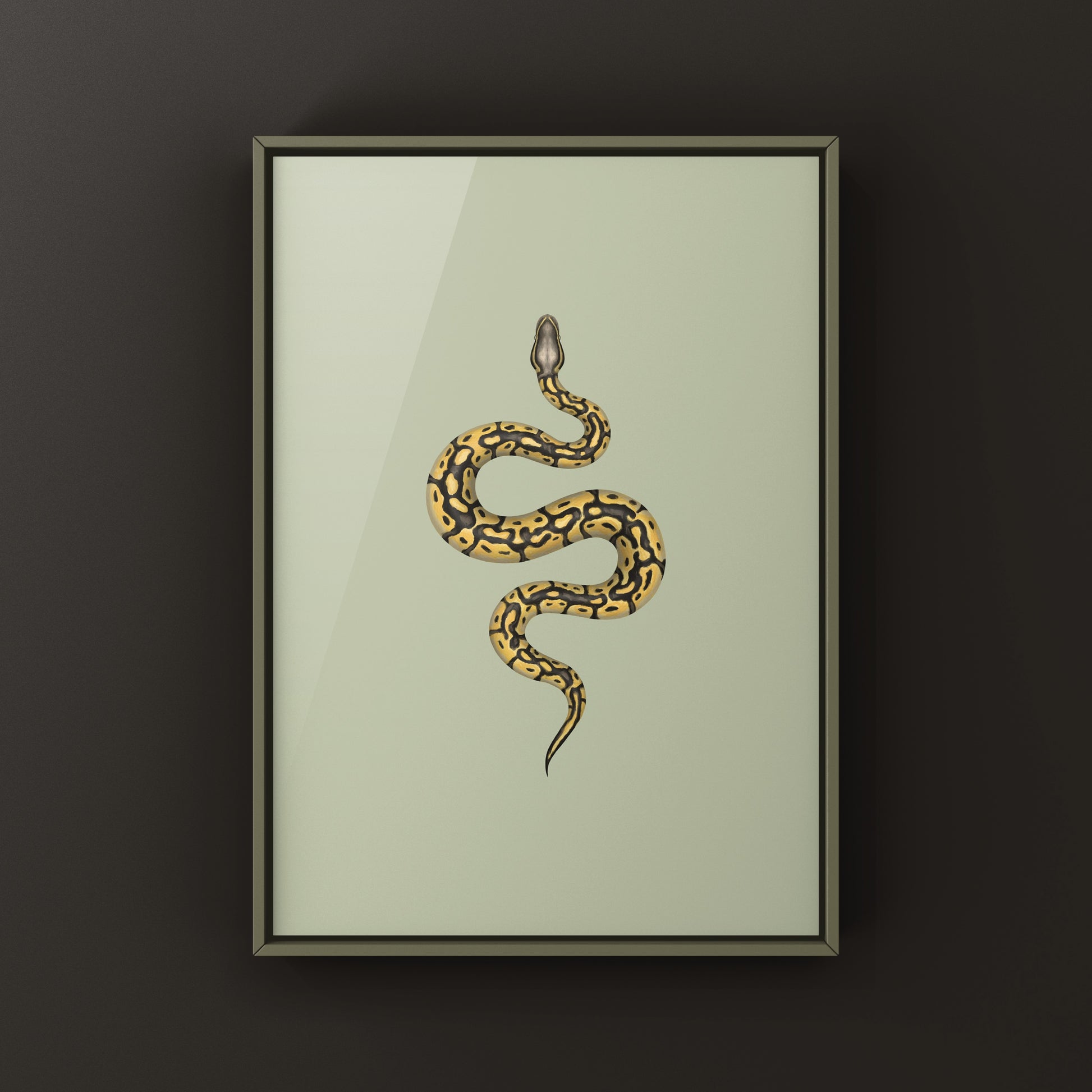 Pastel Ball Python Art Print from The Silk Ranch