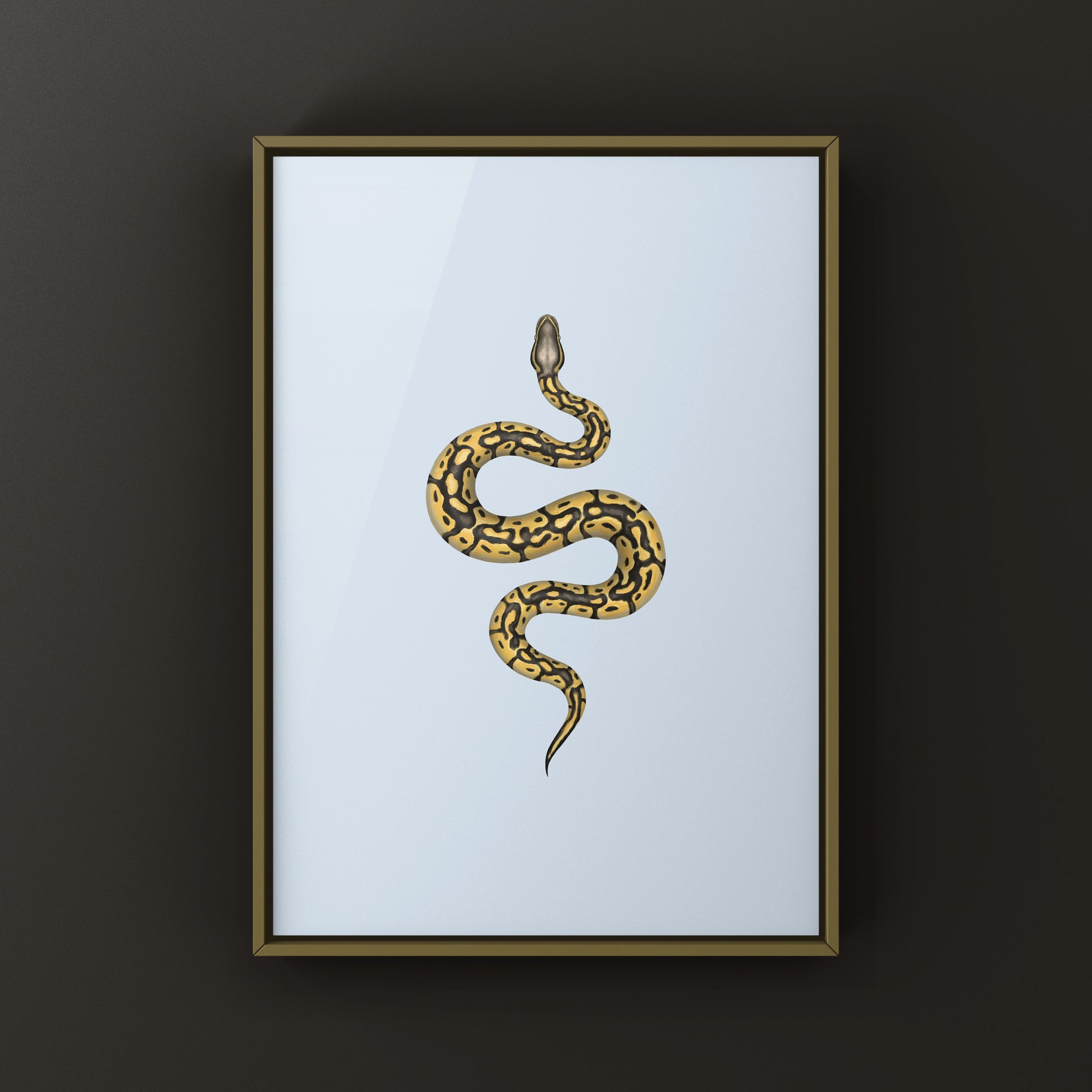 Pastel Ball Python Art Print from The Silk Ranch
