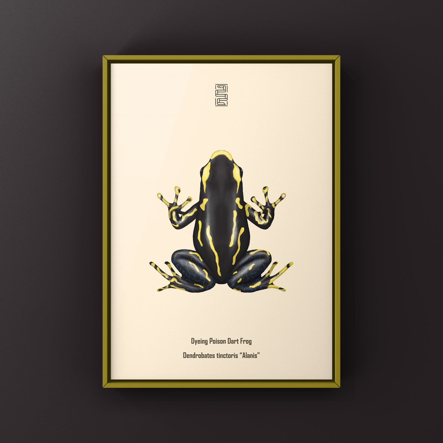 Alanis Dyeing Poison Dart Frog (Dendrobates tinctoris) Photographic Art Print
