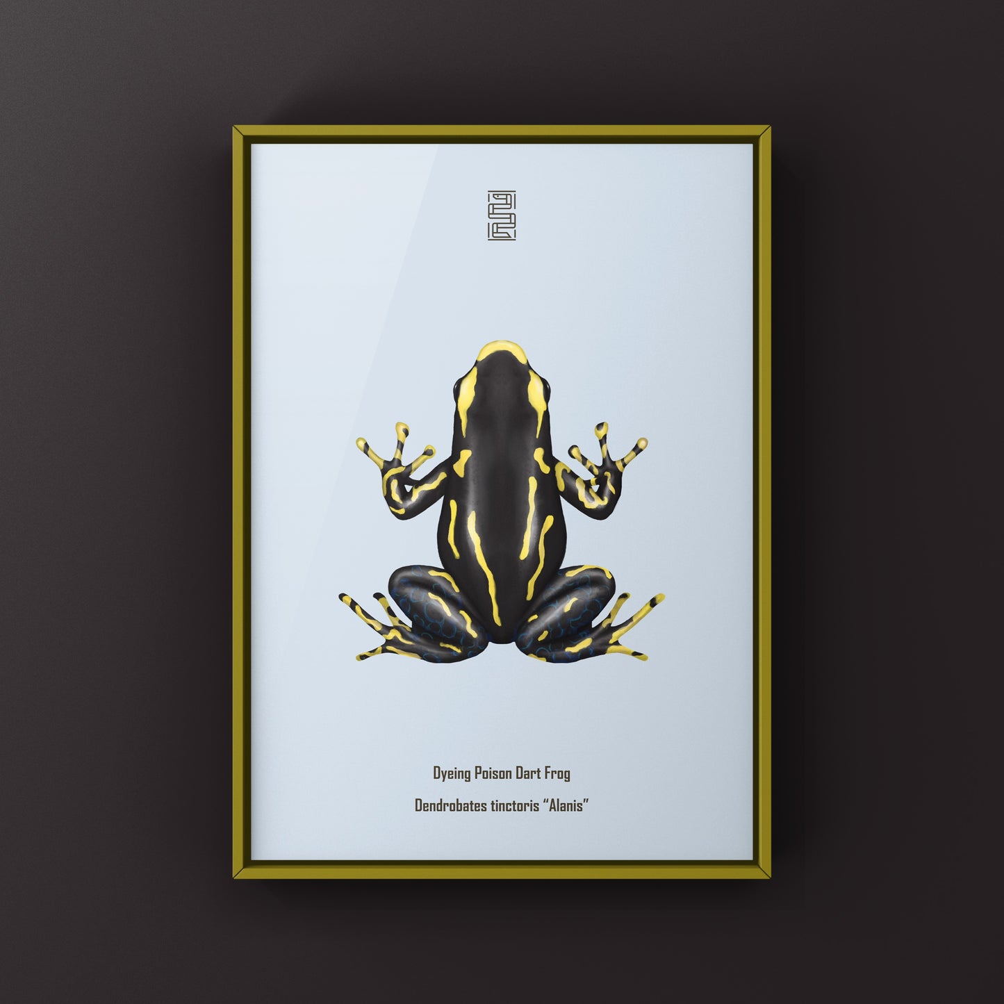 Alanis Dyeing Poison Dart Frog (Dendrobates tinctoris) Photographic Art Print