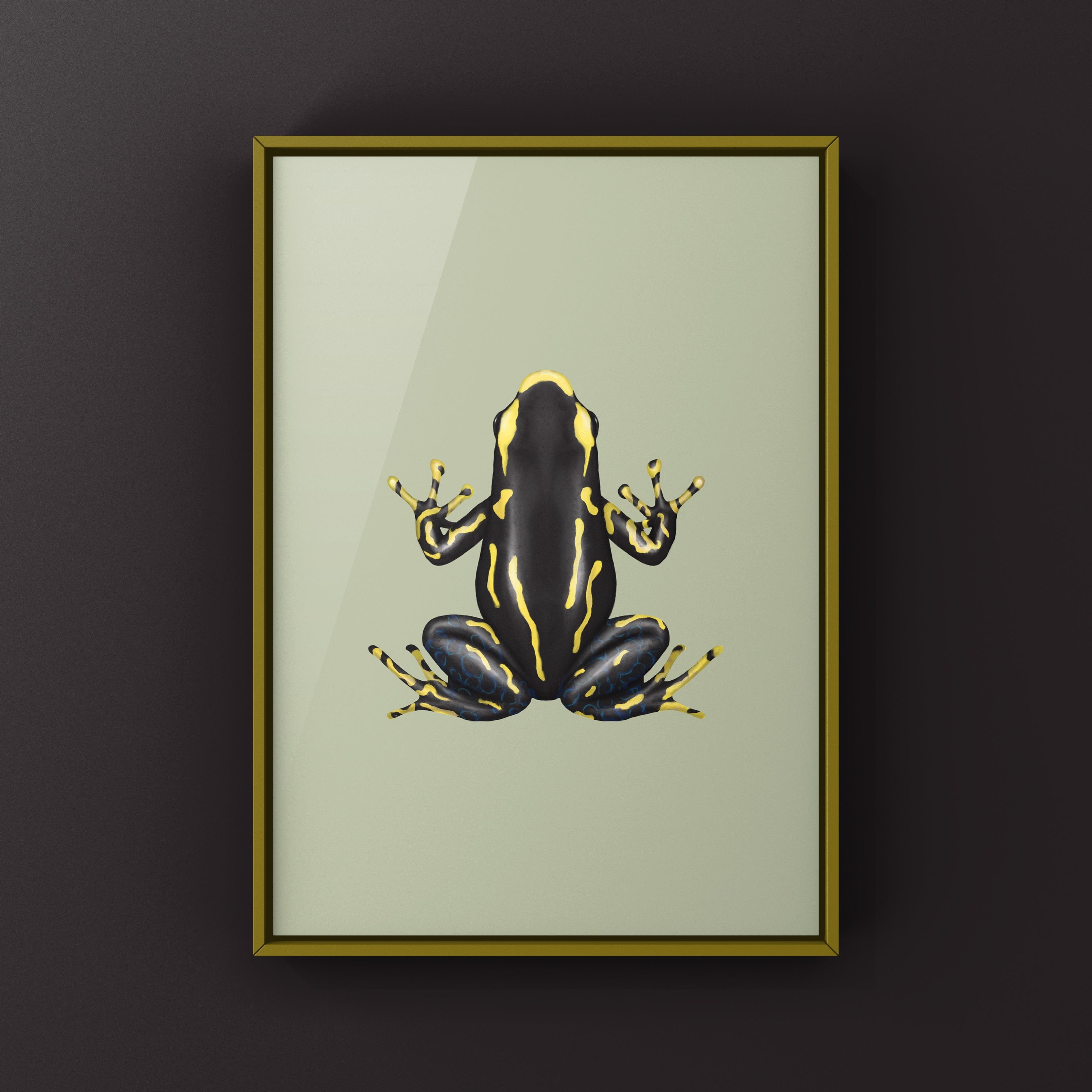 Alanis Dyeing Poison Dart Frog (Dendrobates tinctorius) Art Print