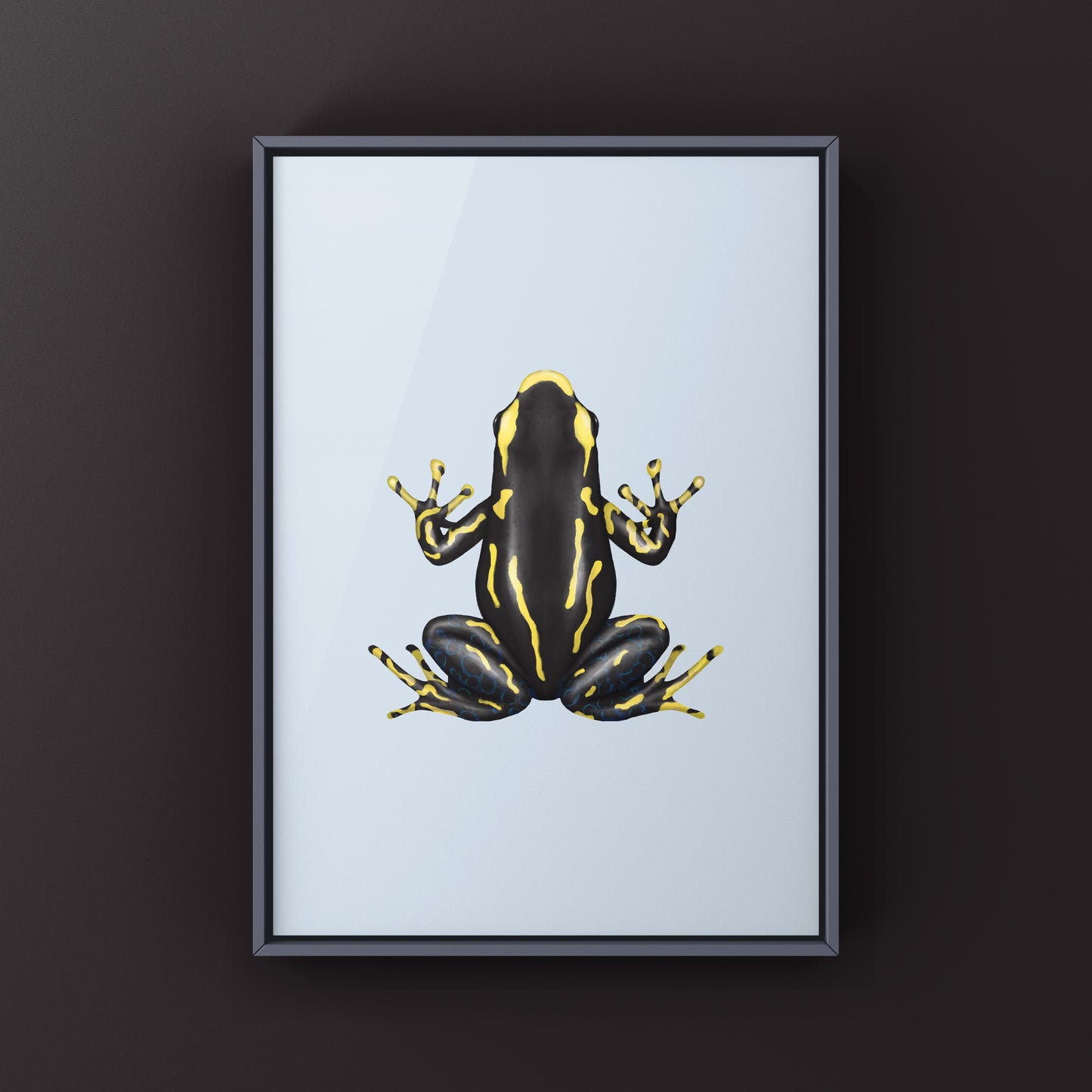 Alanis Dyeing Poison Dart Frog (Dendrobates tinctoris) Photographic Art Print