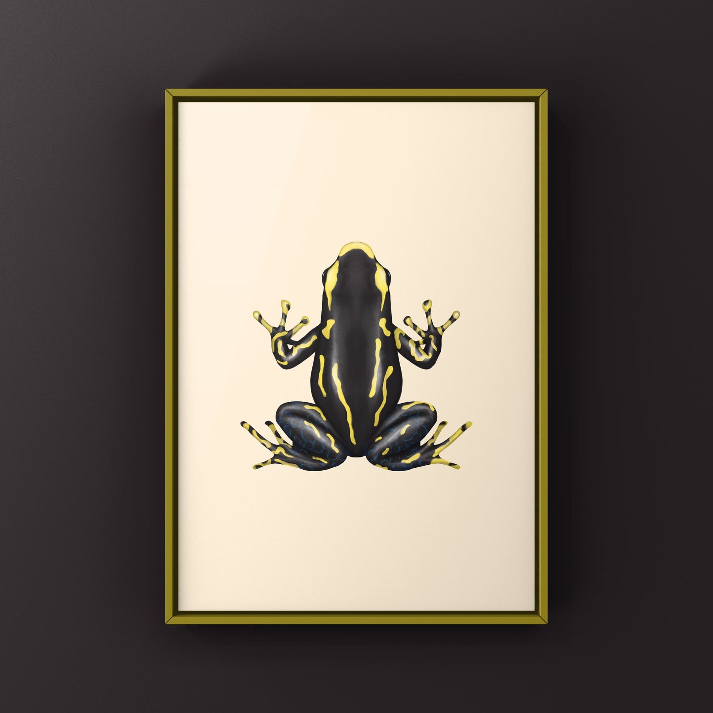 Alanis Dyeing Poison Dart Frog (Dendrobates tinctoris) Photographic Art Print