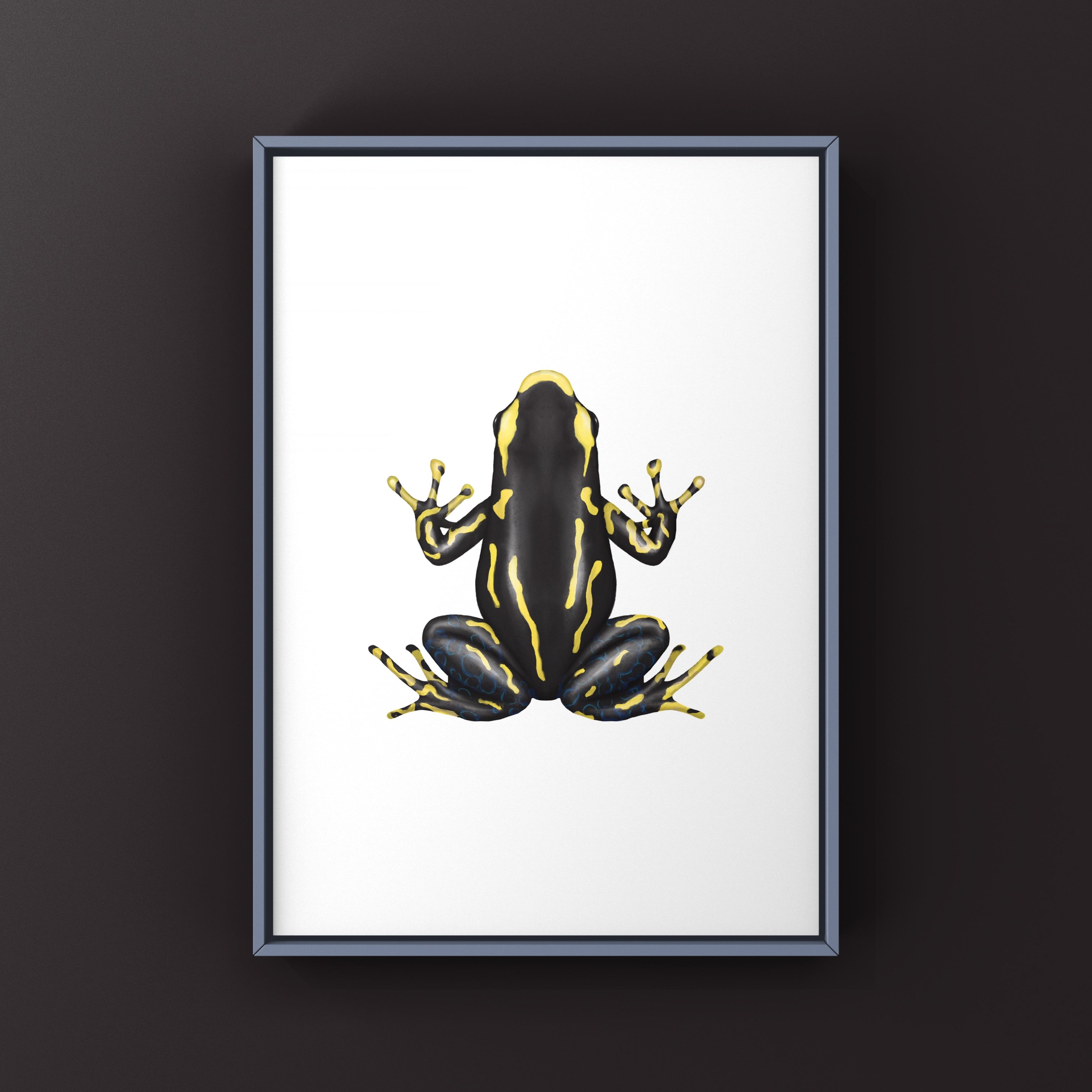Alanis Dyeing Poison Dart Frog (Dendrobates tinctorius) Art Print