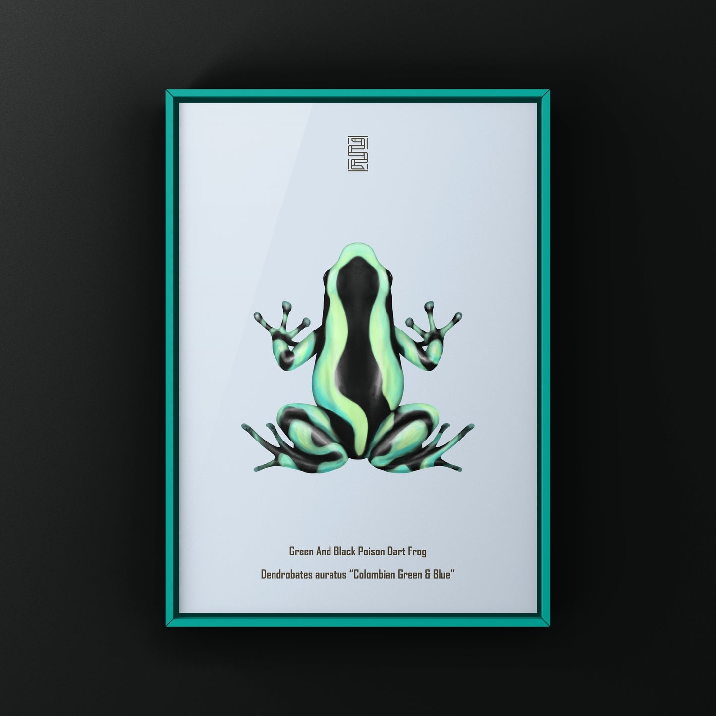 Colombian Green And Blue Poison Dart Frog (Dendrobates auratus) Photographic Art Print from The Silk Ranch