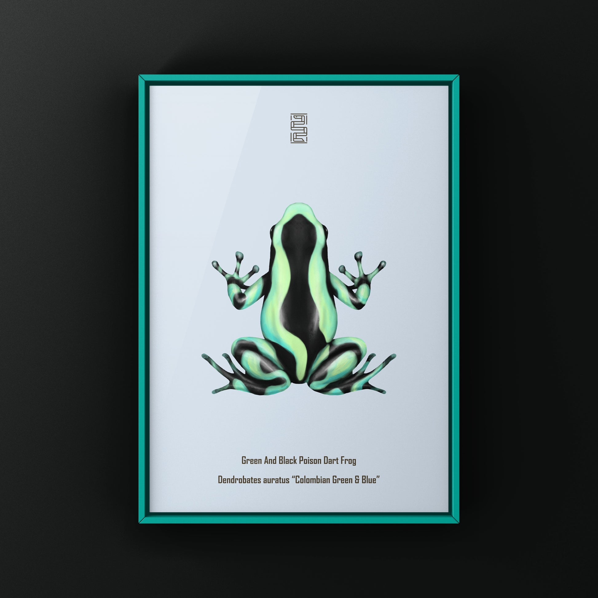 Colombian Green And Blue Poison Dart Frog (Dendrobates auratus) Photographic Art Print from The Silk Ranch