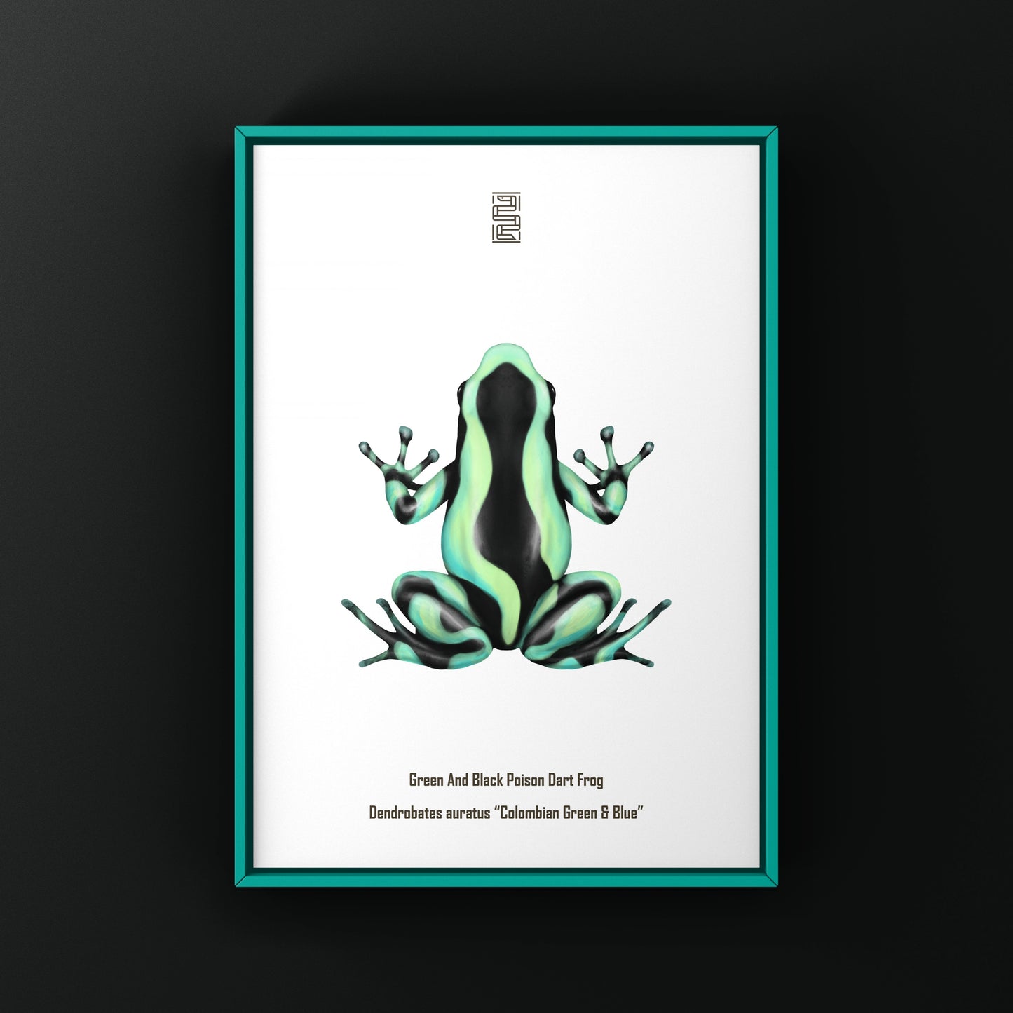 Colombian Green And Blue Poison Dart Frog (Dendrobates auratus) Photographic Art Print from The Silk Ranch