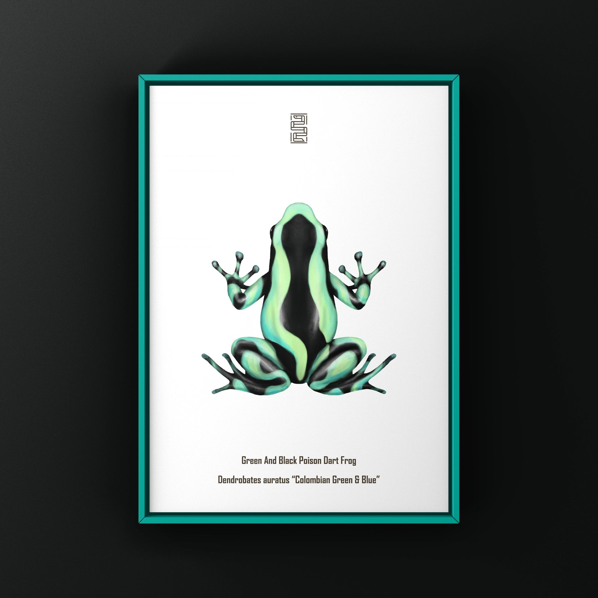 Colombian Green And Blue Poison Dart Frog (Dendrobates auratus) Photographic Art Print from The Silk Ranch