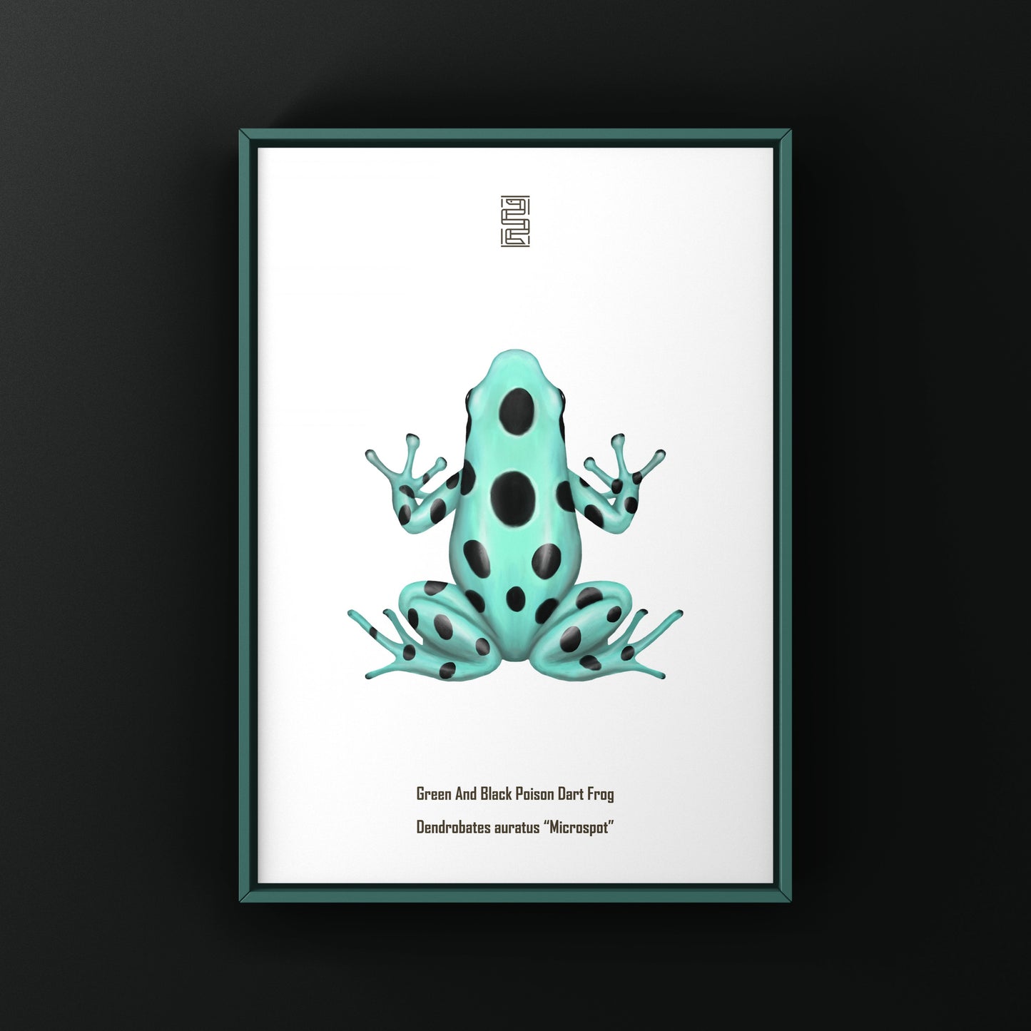 Microspot Green And Black Poison Dart Frog (Dendrobates auratus) Photographic Art Print from The Silk Ranch