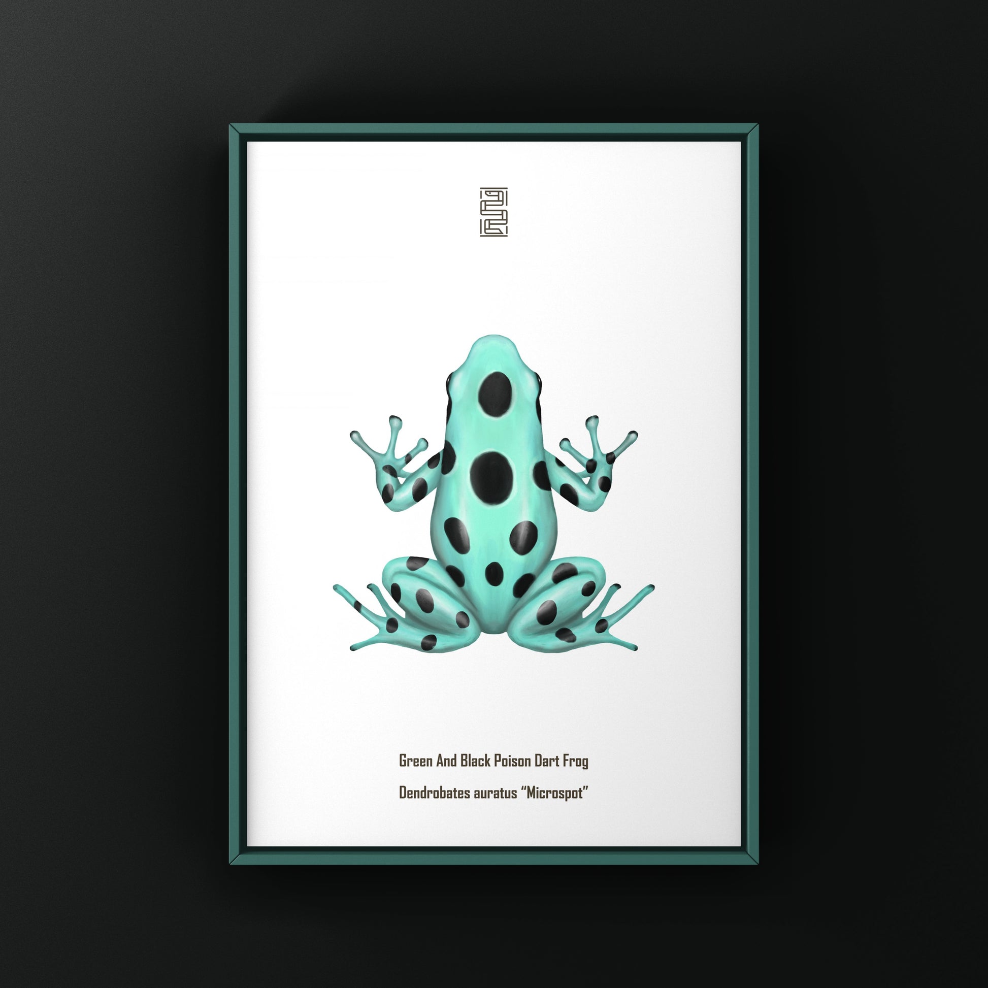 Microspot Green And Black Poison Dart Frog (Dendrobates auratus) Photographic Art Print from The Silk Ranch