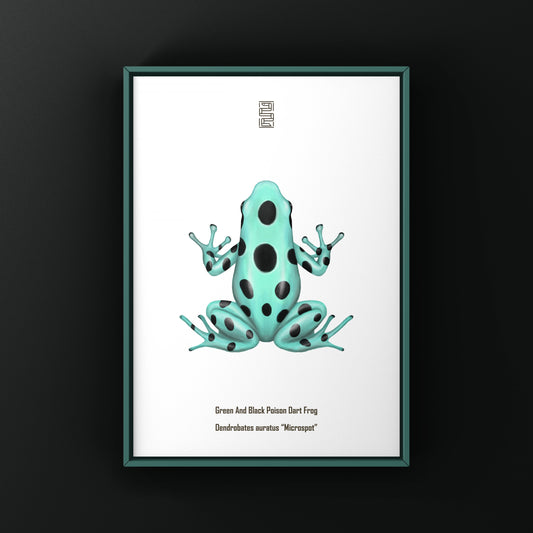 Microspot Green And Black Poison Dart Frog (Dendrobates auratus) Photographic Art Print from The Silk Ranch