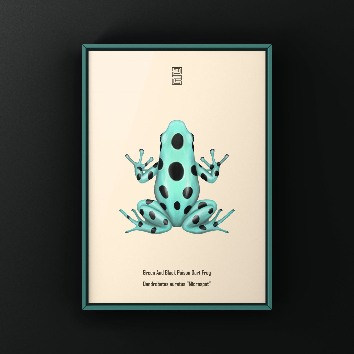 Microspot Green And Black Poison Dart Frog (Dendrobates auratus) Photographic Art Print from The Silk Ranch