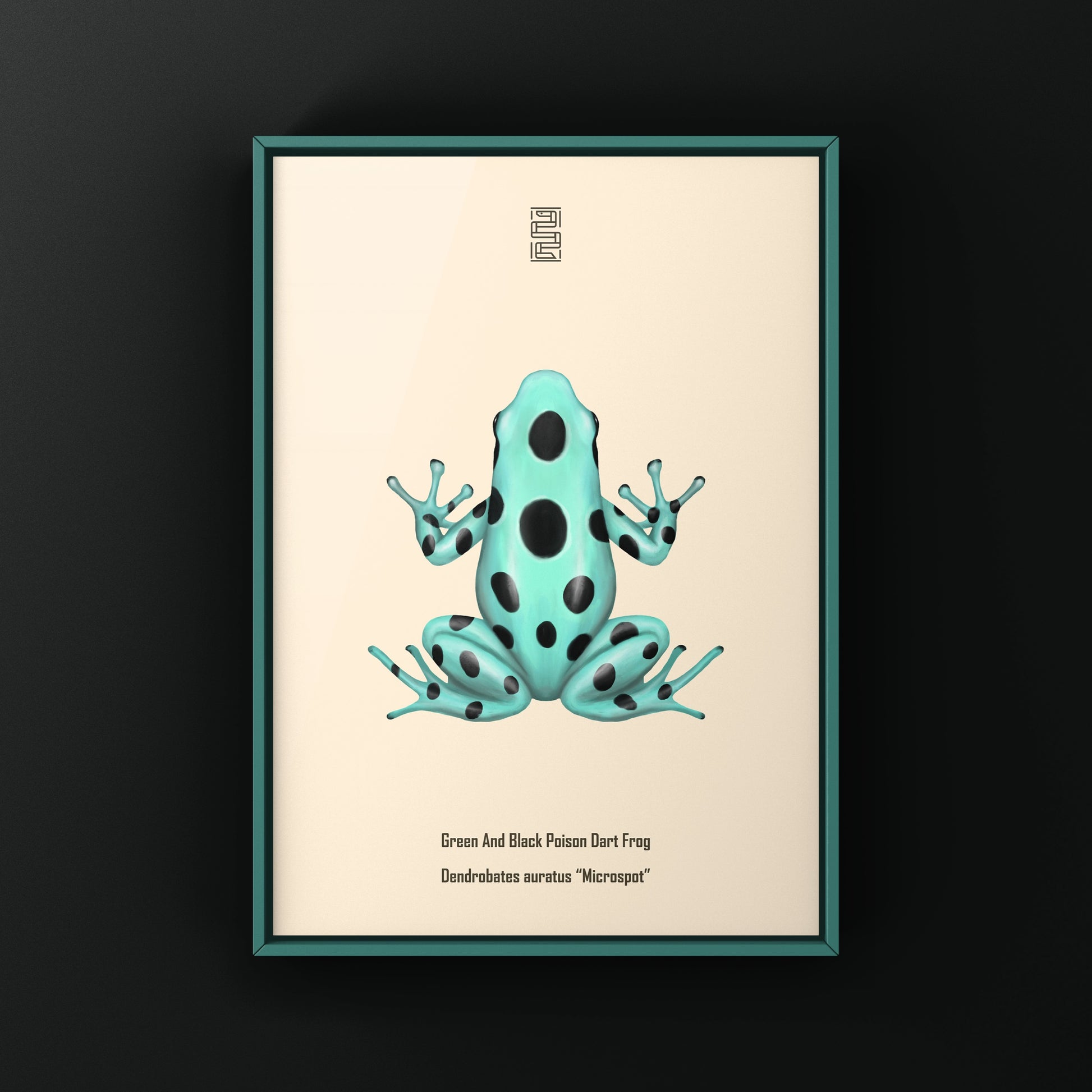 Microspot Green And Black Poison Dart Frog (Dendrobates auratus) Photographic Art Print from The Silk Ranch