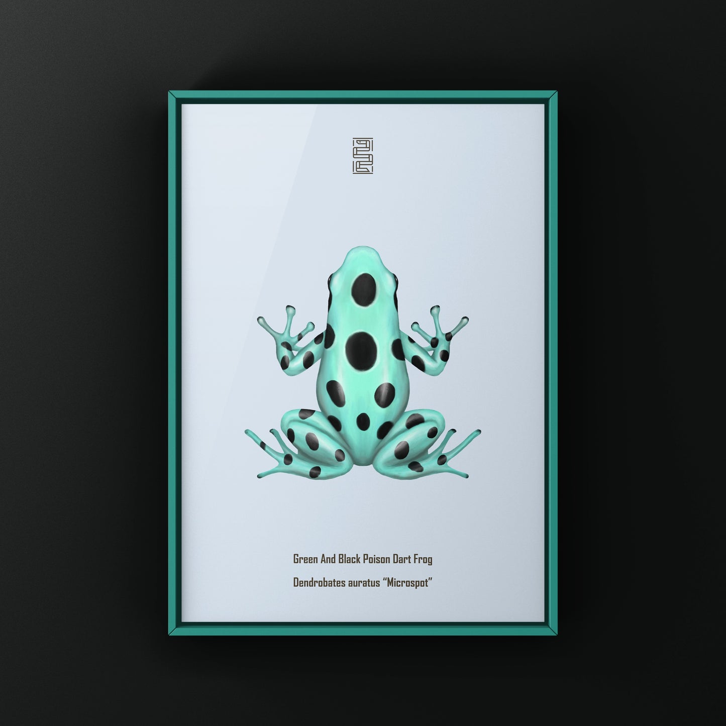 Microspot Green And Black Poison Dart Frog (Dendrobates auratus) Photographic Art Print from The Silk Ranch