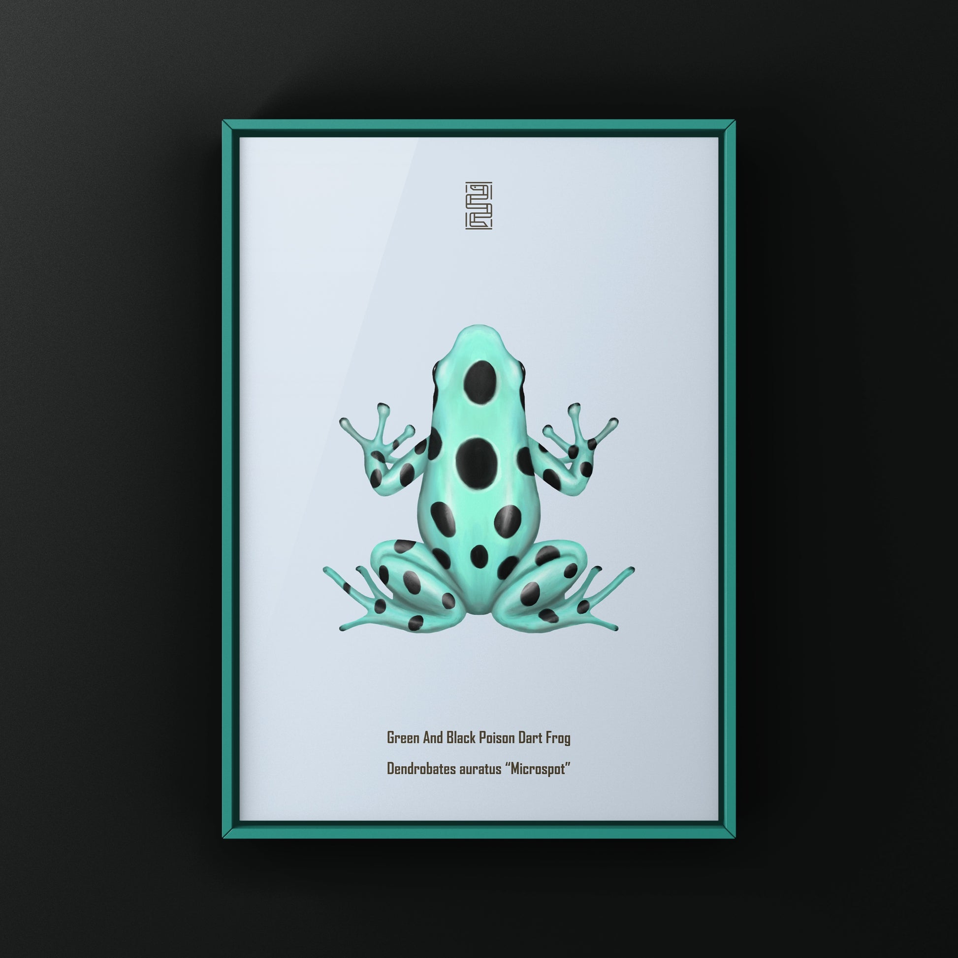 Microspot Green And Black Poison Dart Frog (Dendrobates auratus) Photographic Art Print from The Silk Ranch