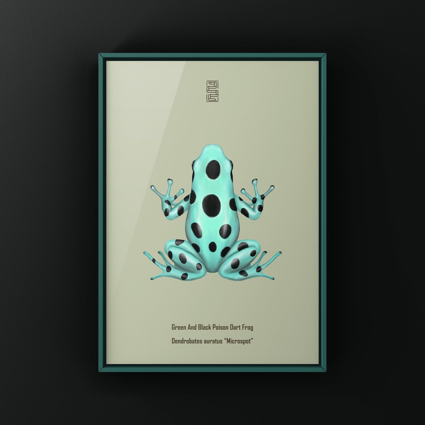 Microspot Green And Black Poison Dart Frog (Dendrobates auratus) Photographic Art Print from The Silk Ranch