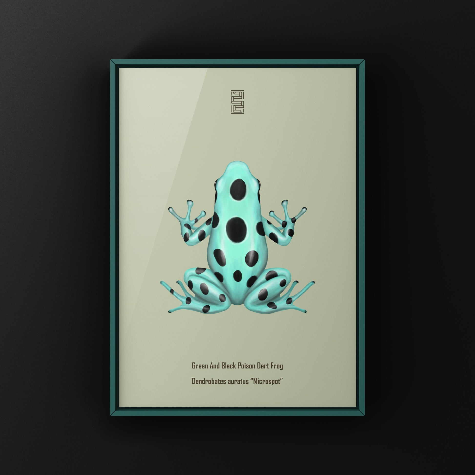 Microspot Green And Black Poison Dart Frog (Dendrobates auratus) Photographic Art Print from The Silk Ranch