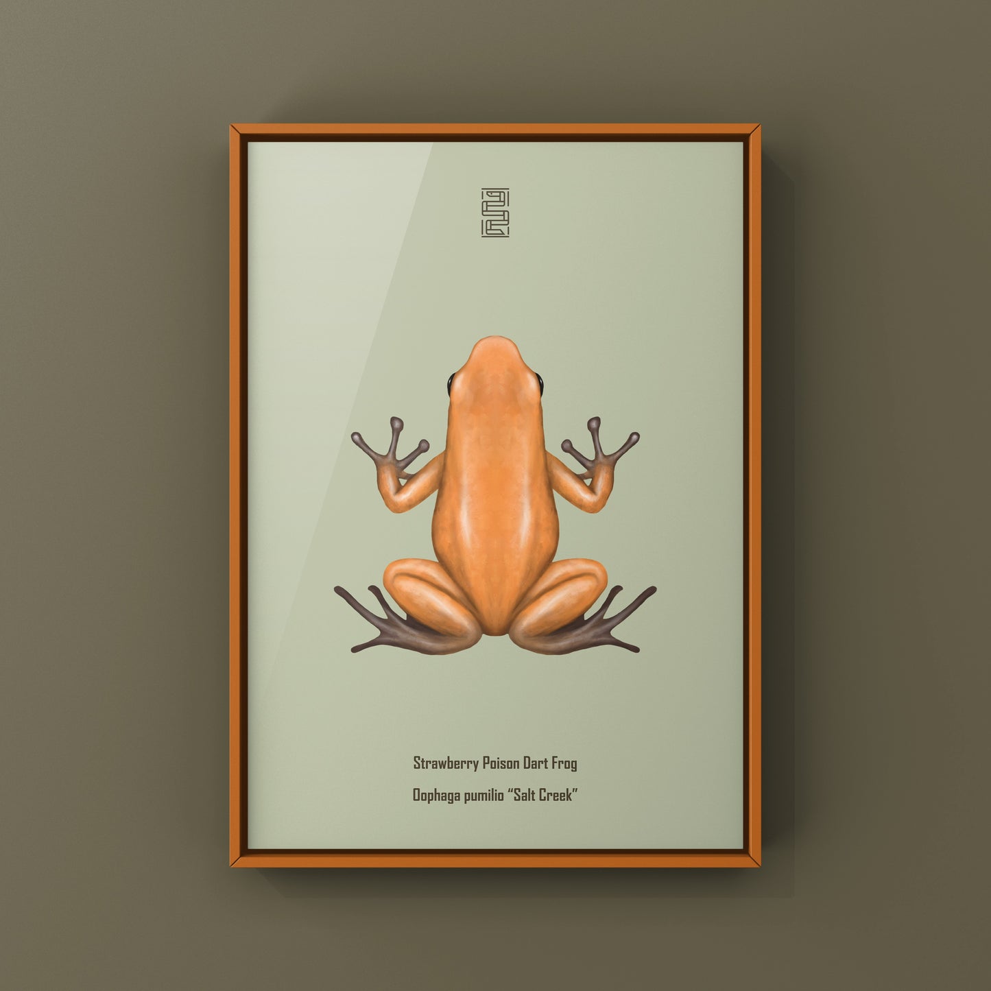 Salt Creek Strawberry Poison Dart Frog (Oophaga pumilio) Photographic Art Print from The Silk Ranch