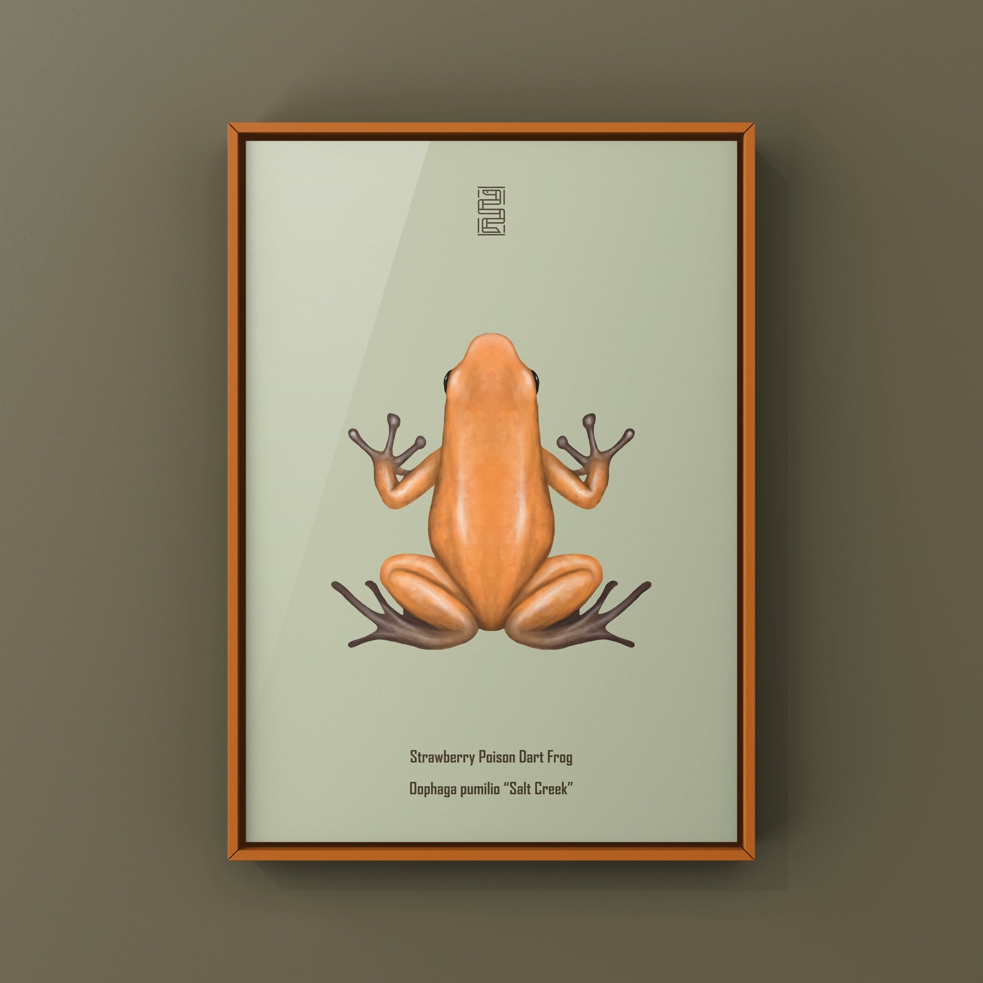 Salt Creek Strawberry Poison Dart Frog (Oophaga pumilio) Photographic Art Print from The Silk Ranch