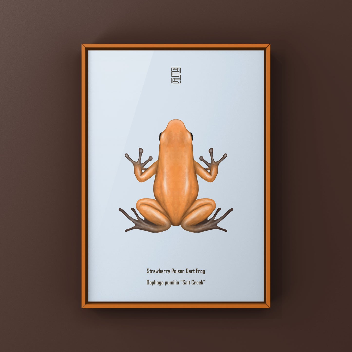 Salt Creek Strawberry Poison Dart Frog (Oophaga pumilio) Photographic Art Print from The Silk Ranch