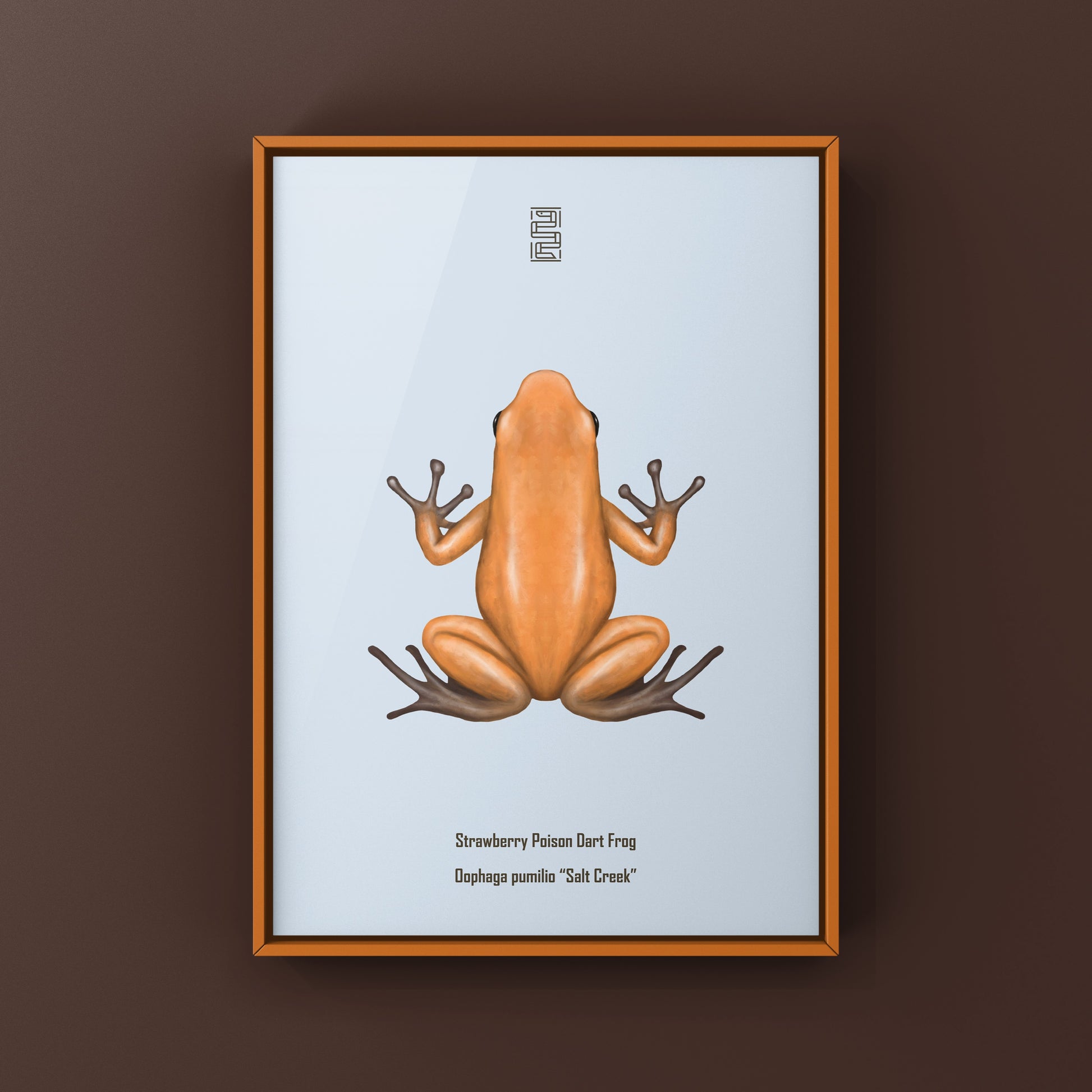 Salt Creek Strawberry Poison Dart Frog (Oophaga pumilio) Photographic Art Print from The Silk Ranch