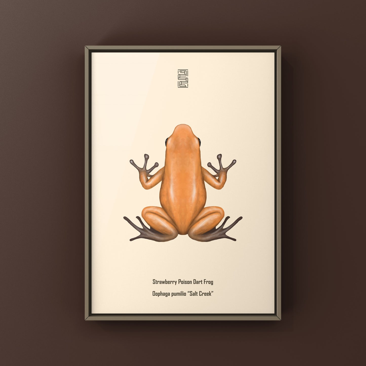 Salt Creek Strawberry Poison Dart Frog (Oophaga pumilio) Photographic Art Print from The Silk Ranch
