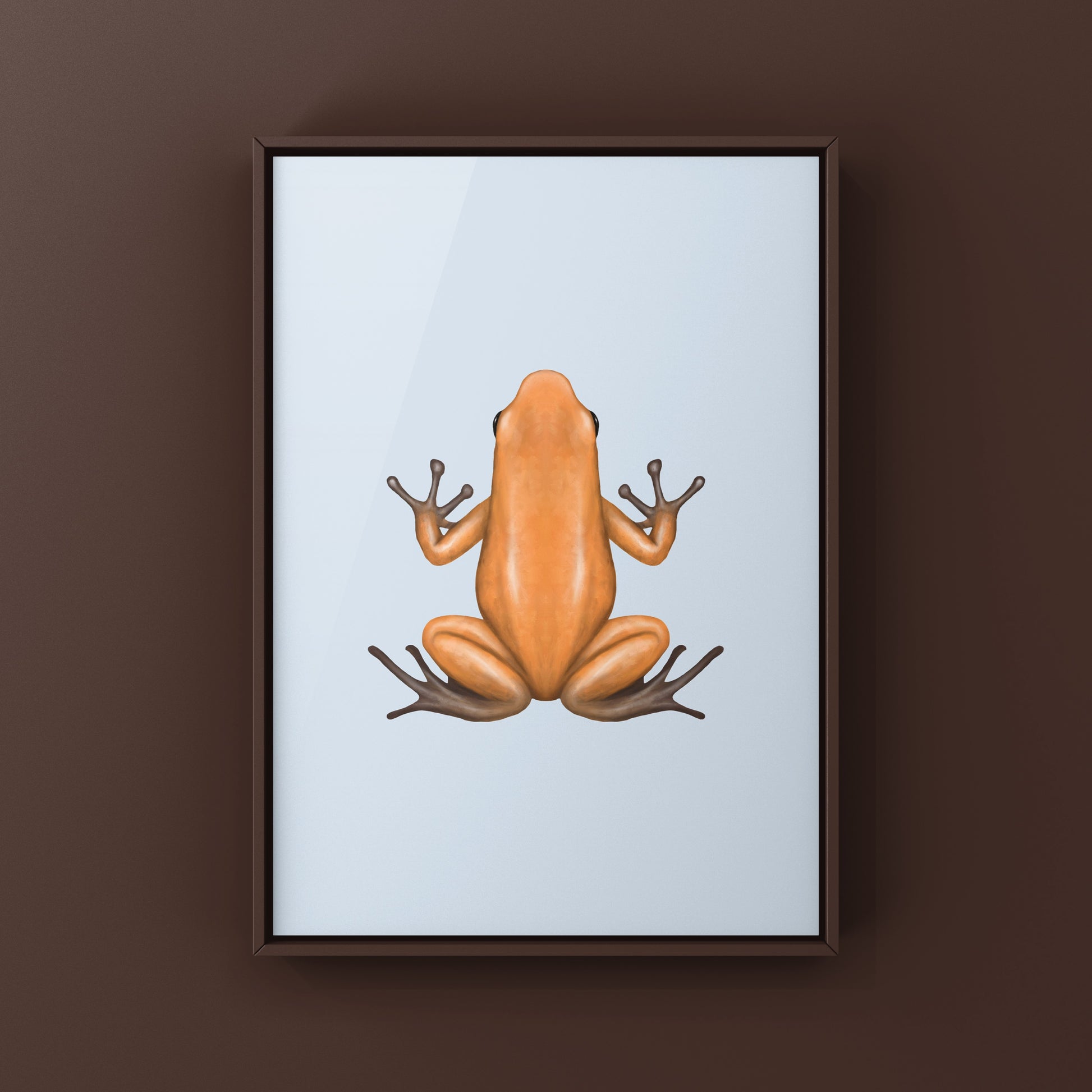 Salt Creek Strawberry Poison Dart Frog (Oophaga pumilio) Photographic Art Print from The Silk Ranch