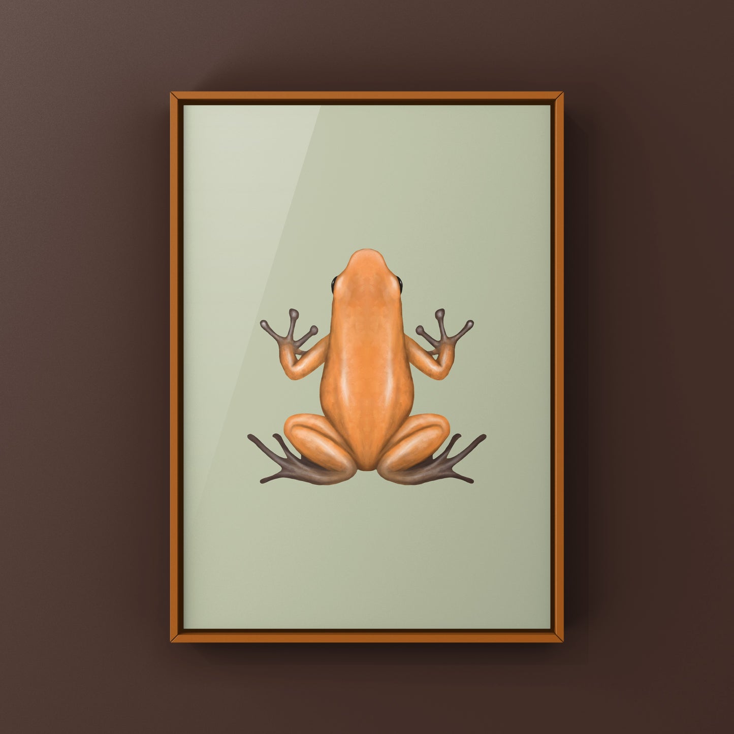 Salt Creek Strawberry Poison Dart Frog (Oophaga pumilio) Photographic Art Print from The Silk Ranch