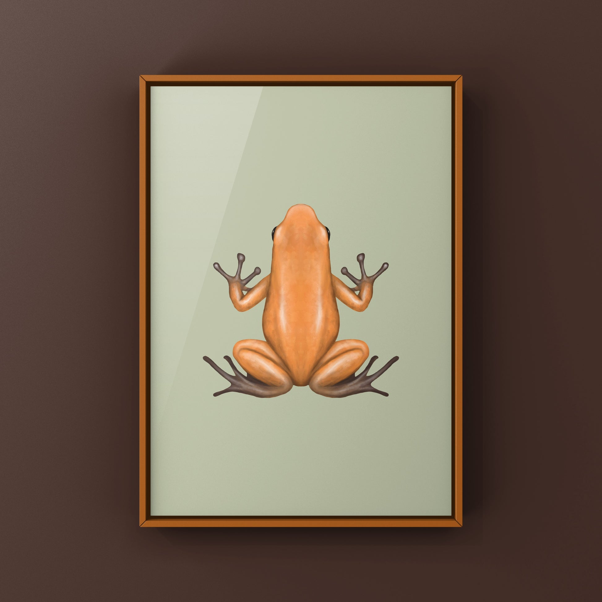Salt Creek Strawberry Poison Dart Frog (Oophaga pumilio) Photographic Art Print from The Silk Ranch
