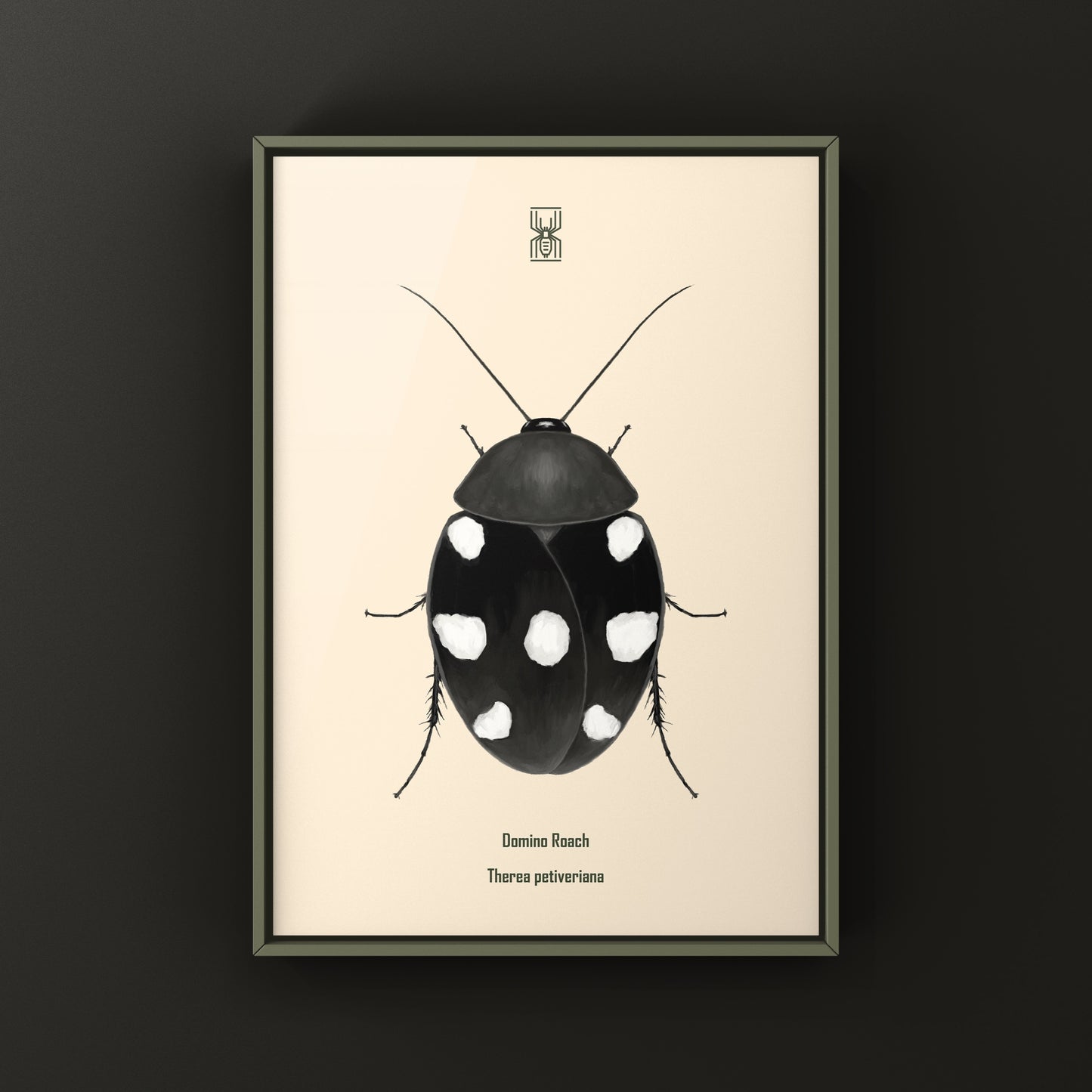Domino Roach (Therea petiveriana) Photographic Art Print from The Silk Ranch